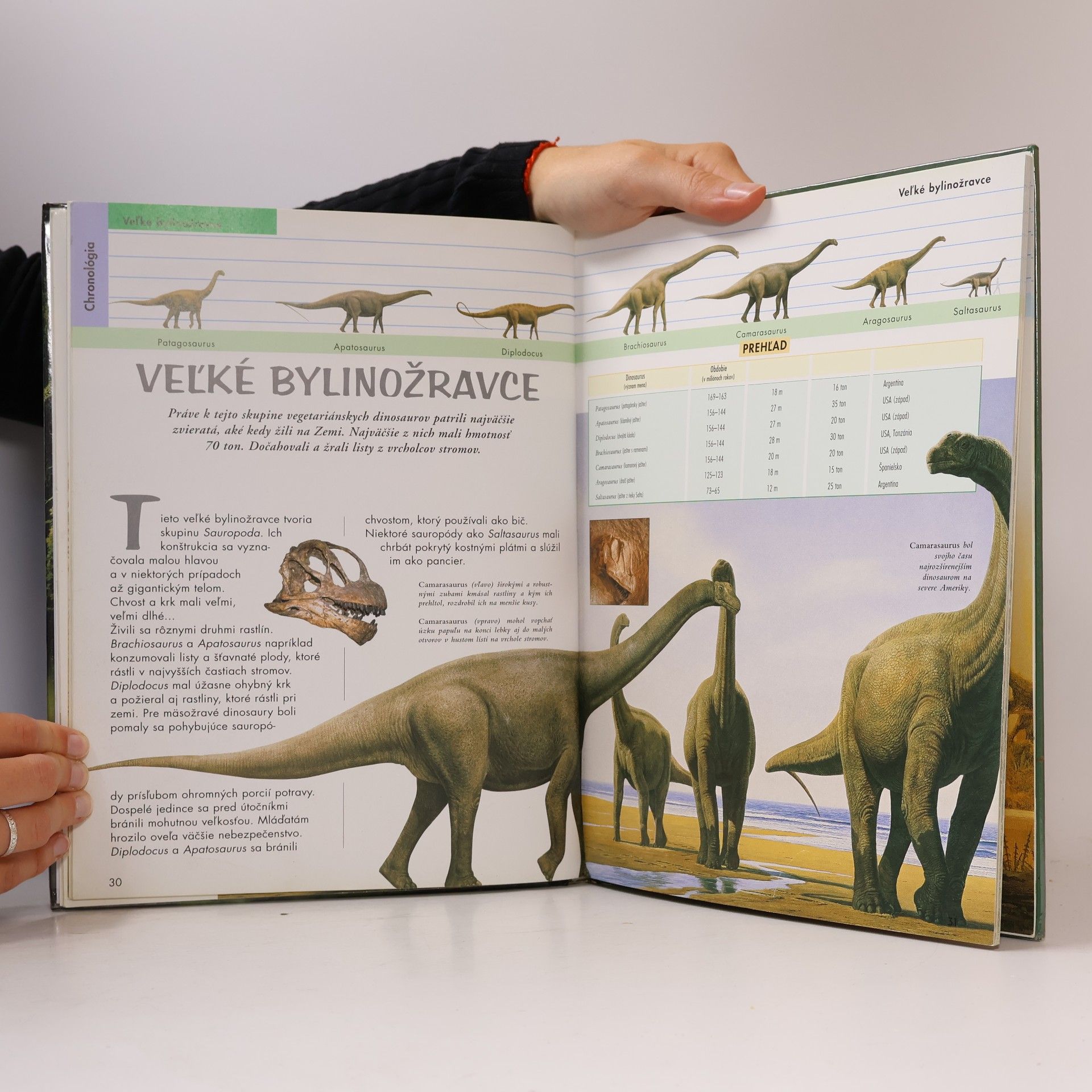 Raúl Martín Dinosaury : Encyklopedický prehľad