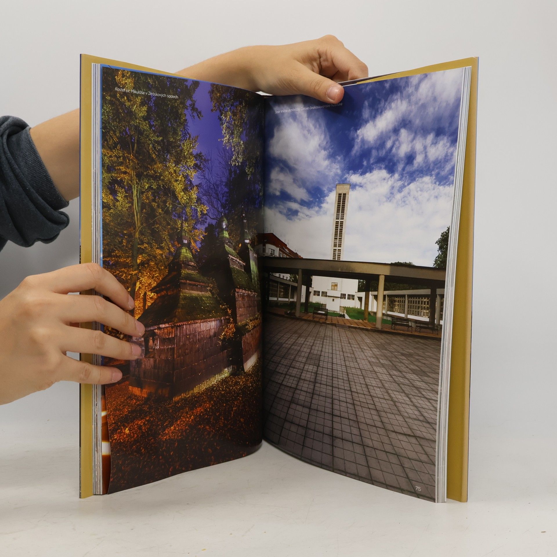 David Taneček Hradec Králové ve fotografii