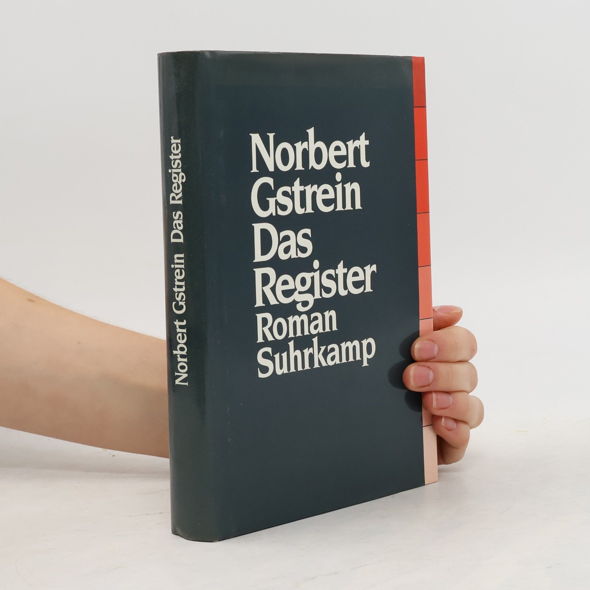Norbert Gstrein Das Register