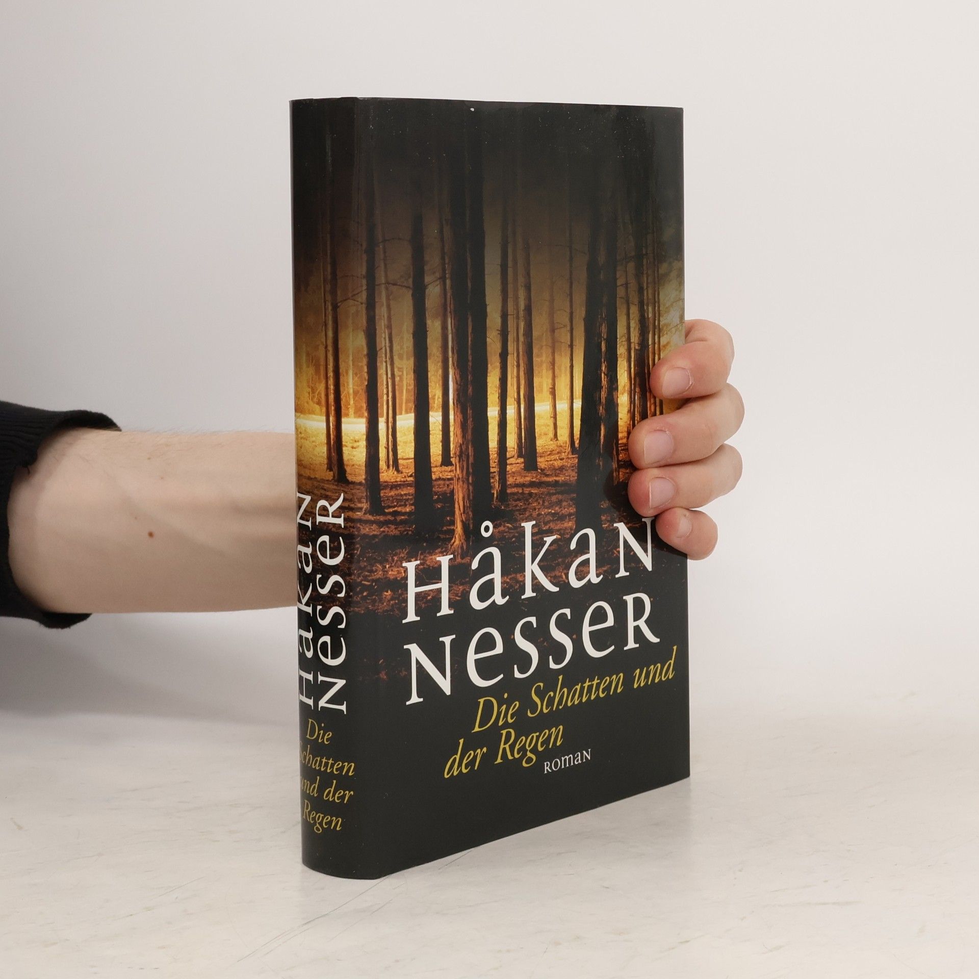Hakan Nesser Die Schatten und der Regen