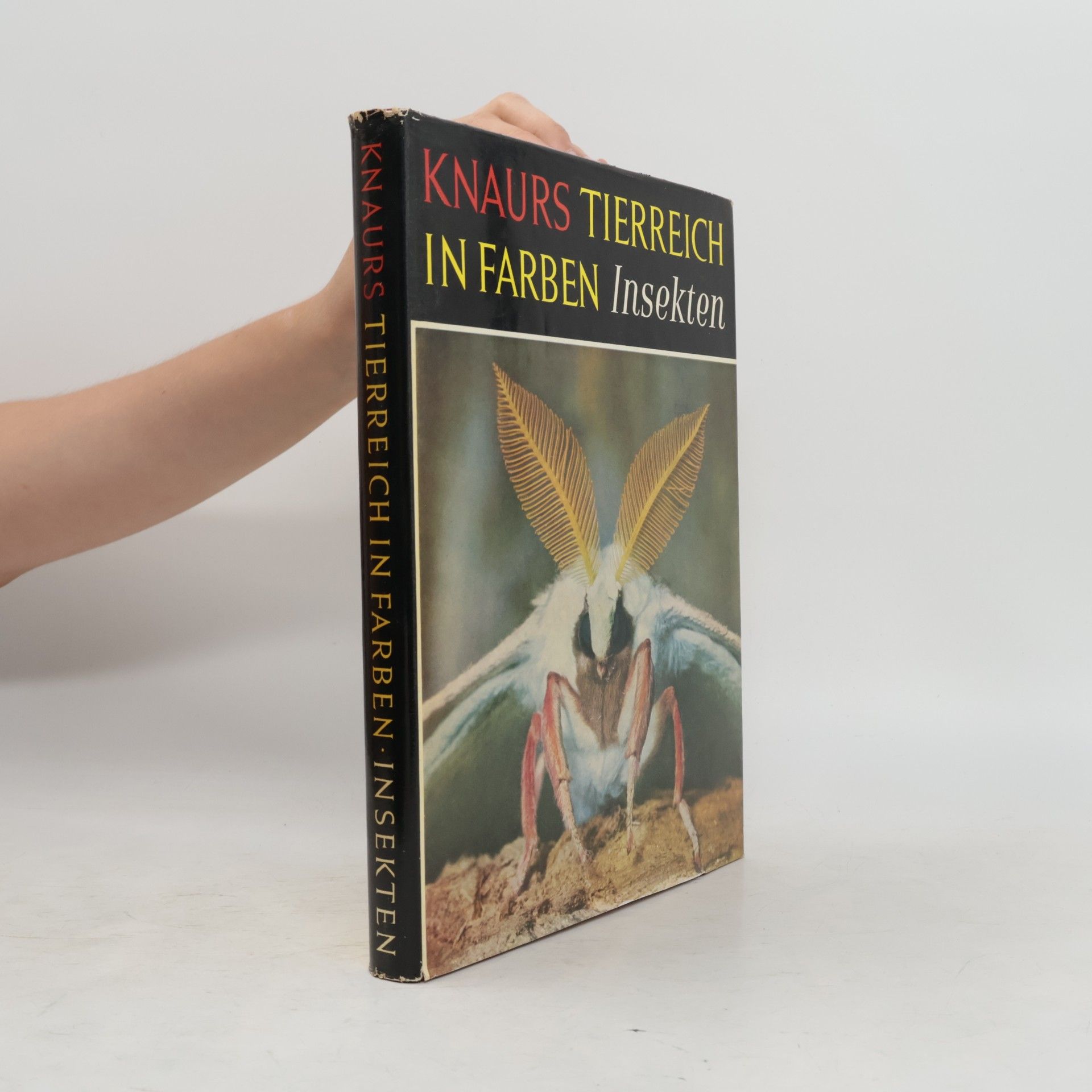 Collectif d'auteurs Knaurs Tierreich in Farben: Insekten