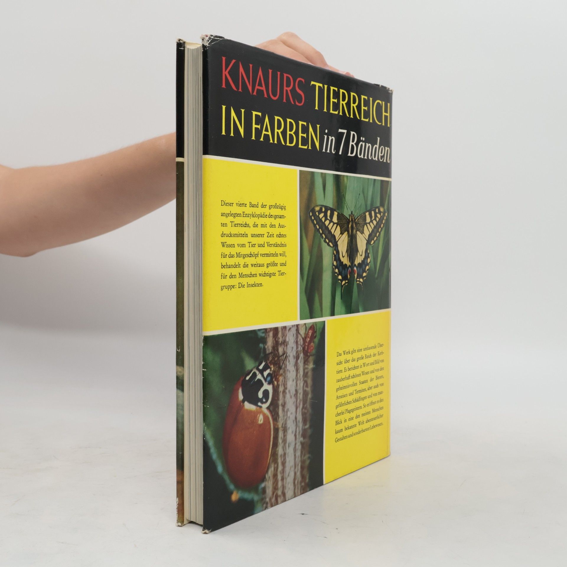 Collectif d'auteurs Knaurs Tierreich in Farben: Insekten