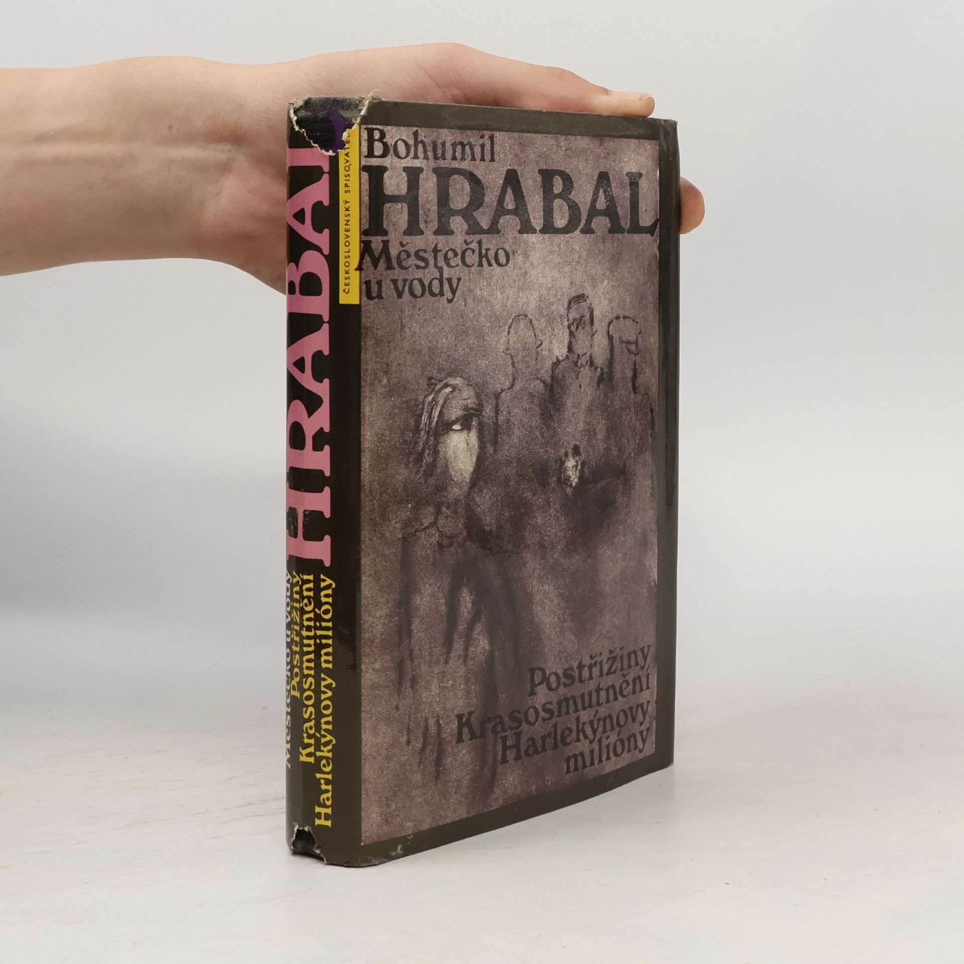 Bohumil Hrabal Městečko u vody