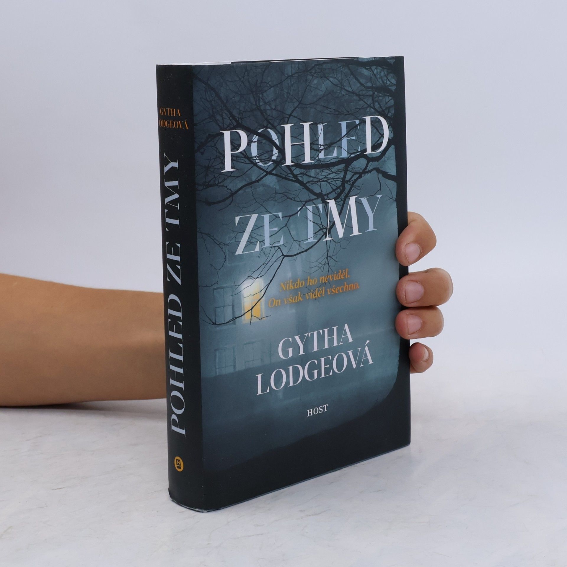 Gytha Lodge Pohled ze tmy