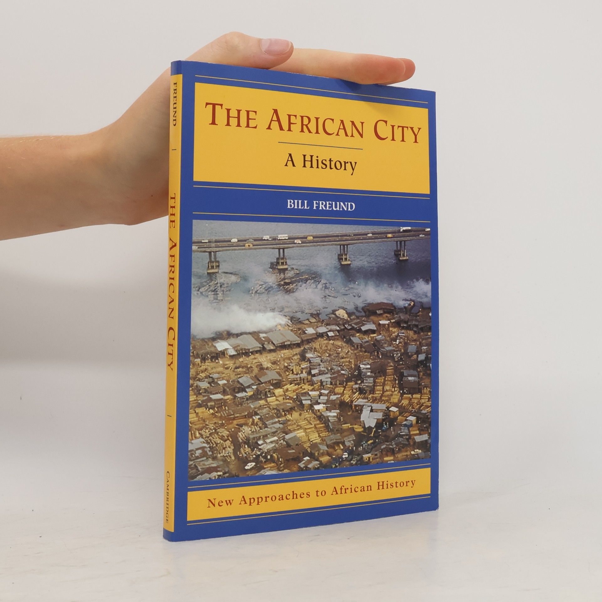 Bill Freund The African City