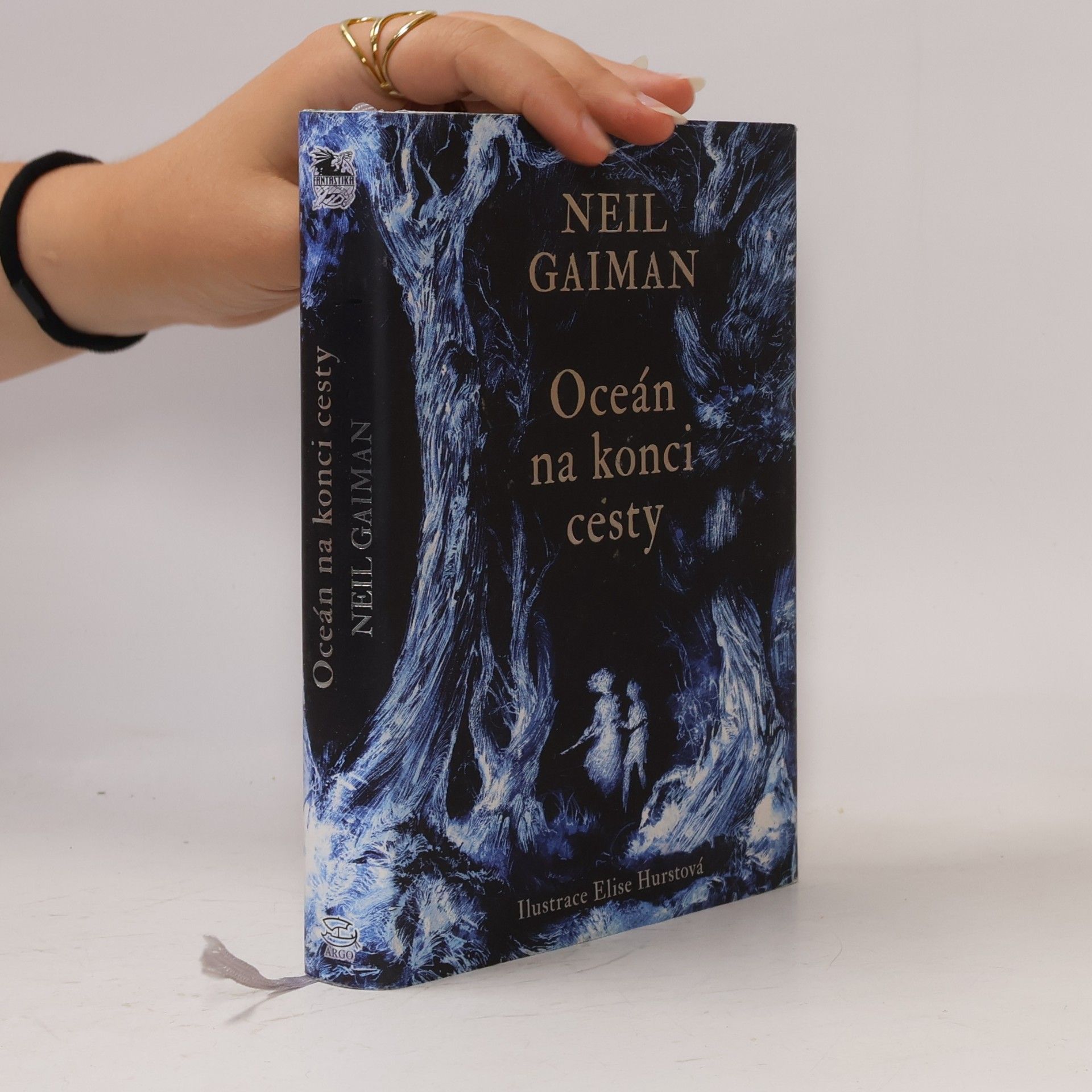 Neil Gaiman Oceán na konci cesty