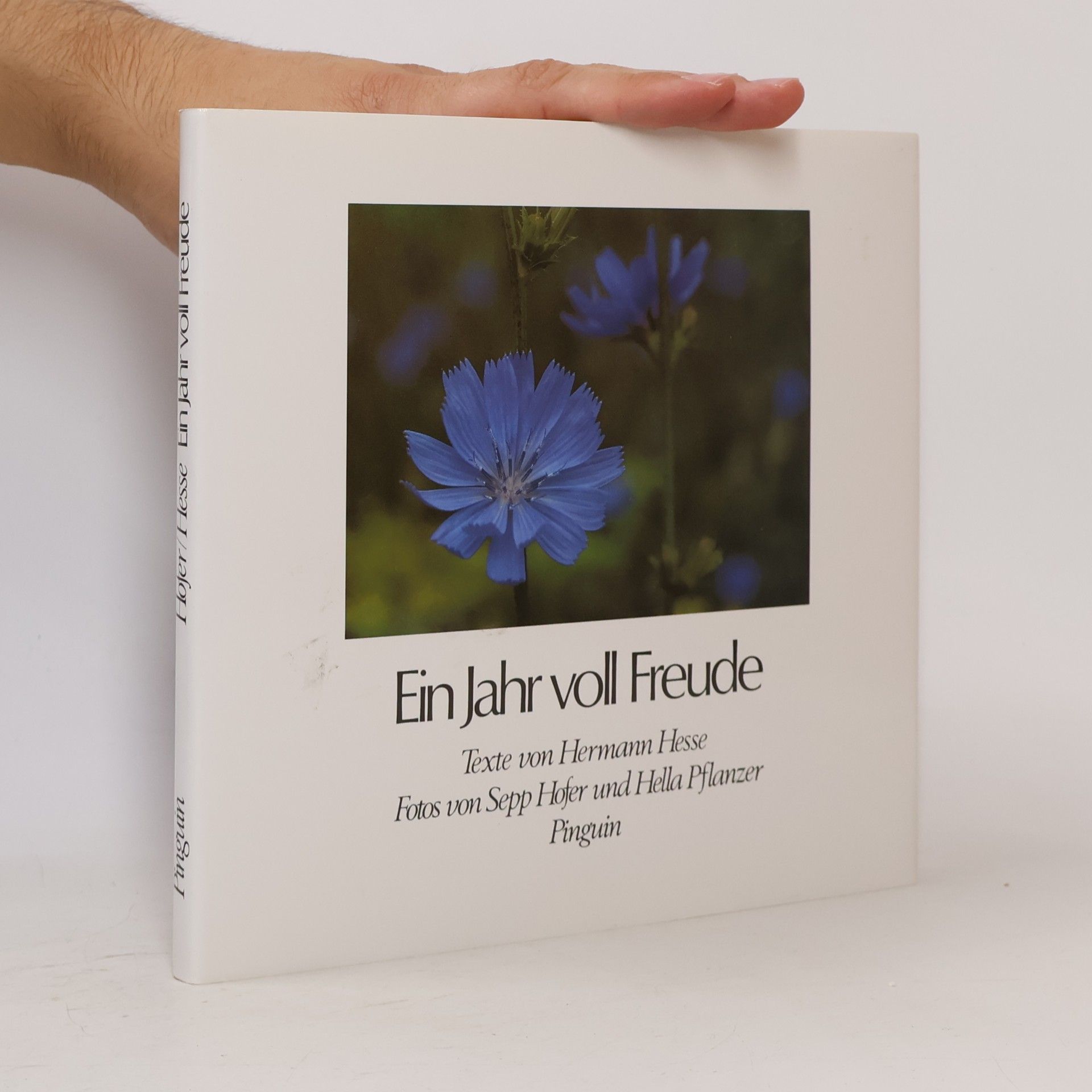 Hermann Hesse Ein Jahr voll Freude