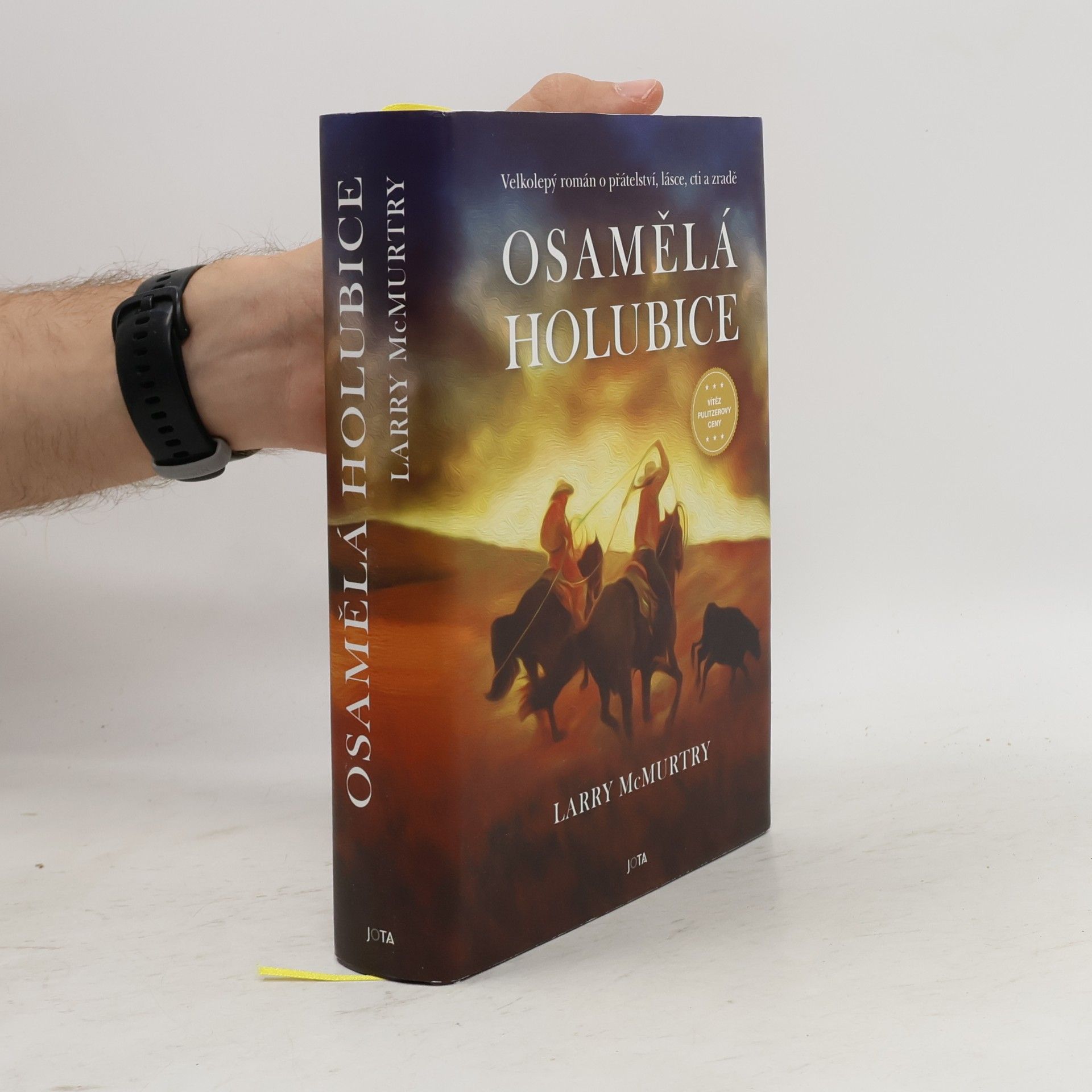 Larry McMurtry Osamělá holubice