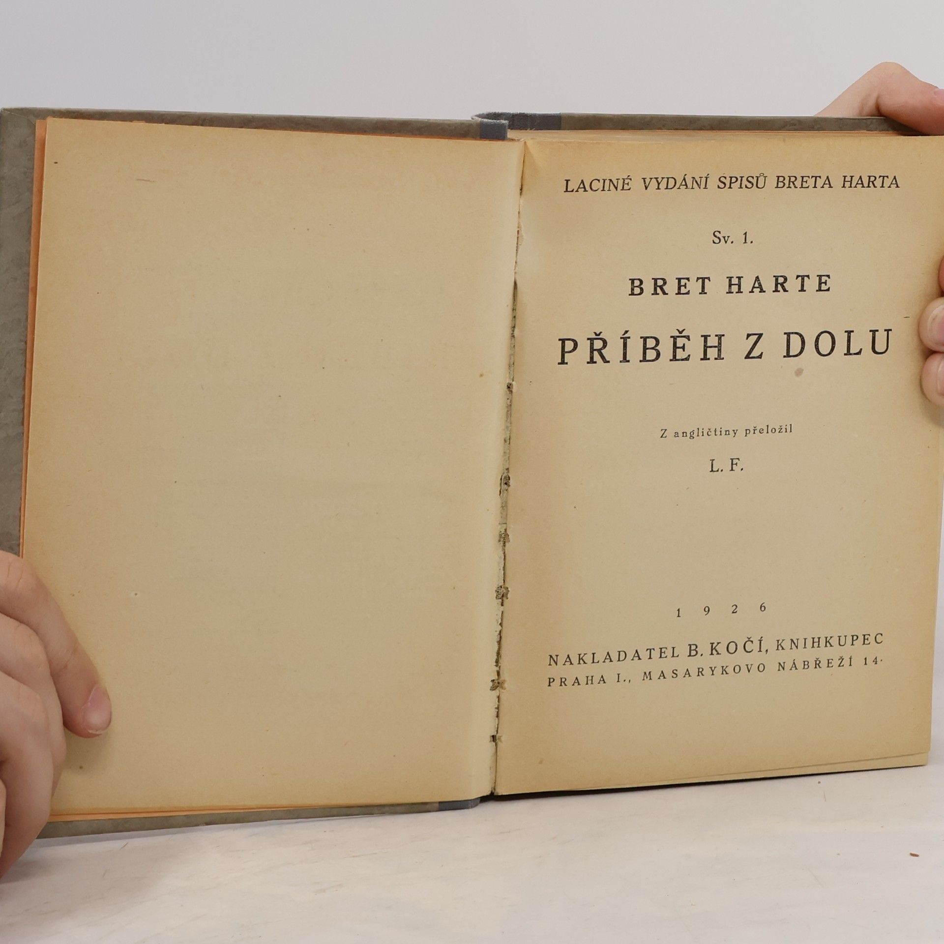 Bret Harte Příběh z dolu