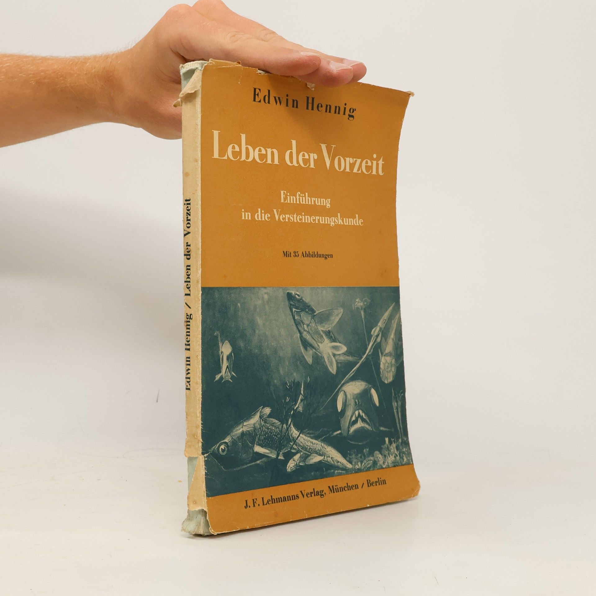 Edwin Hennig Leben der Vorzeit