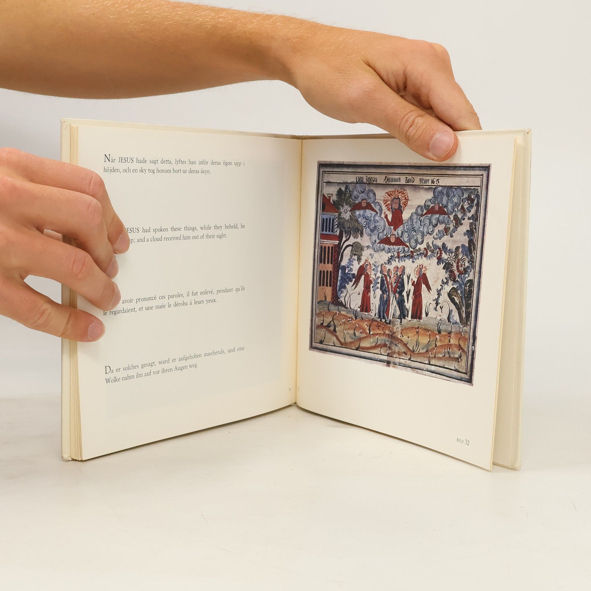 Kolektiv autorů Biblia dalecarlica