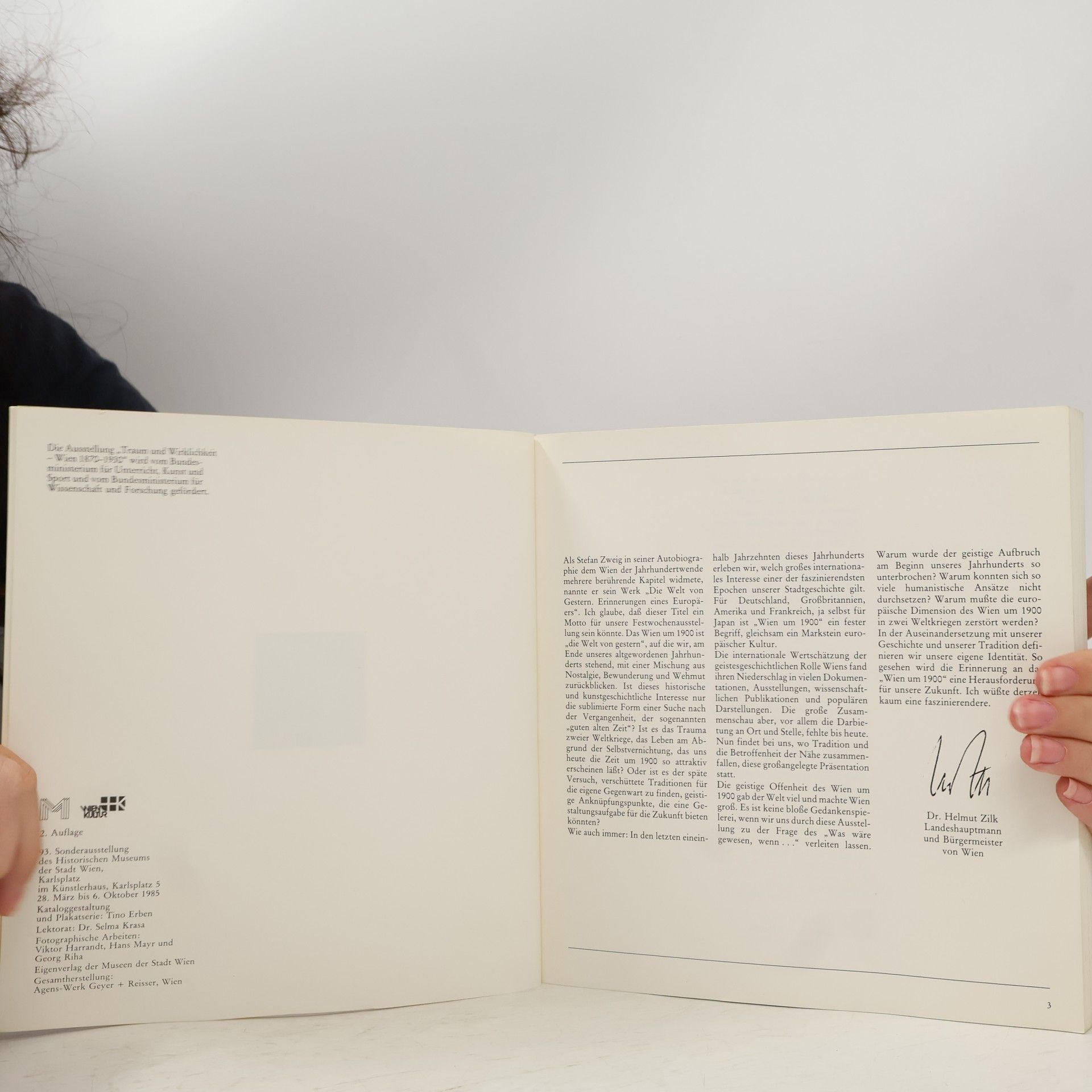Kolektiv autorů Traum und Wirklichkeit Wien 1870-1930