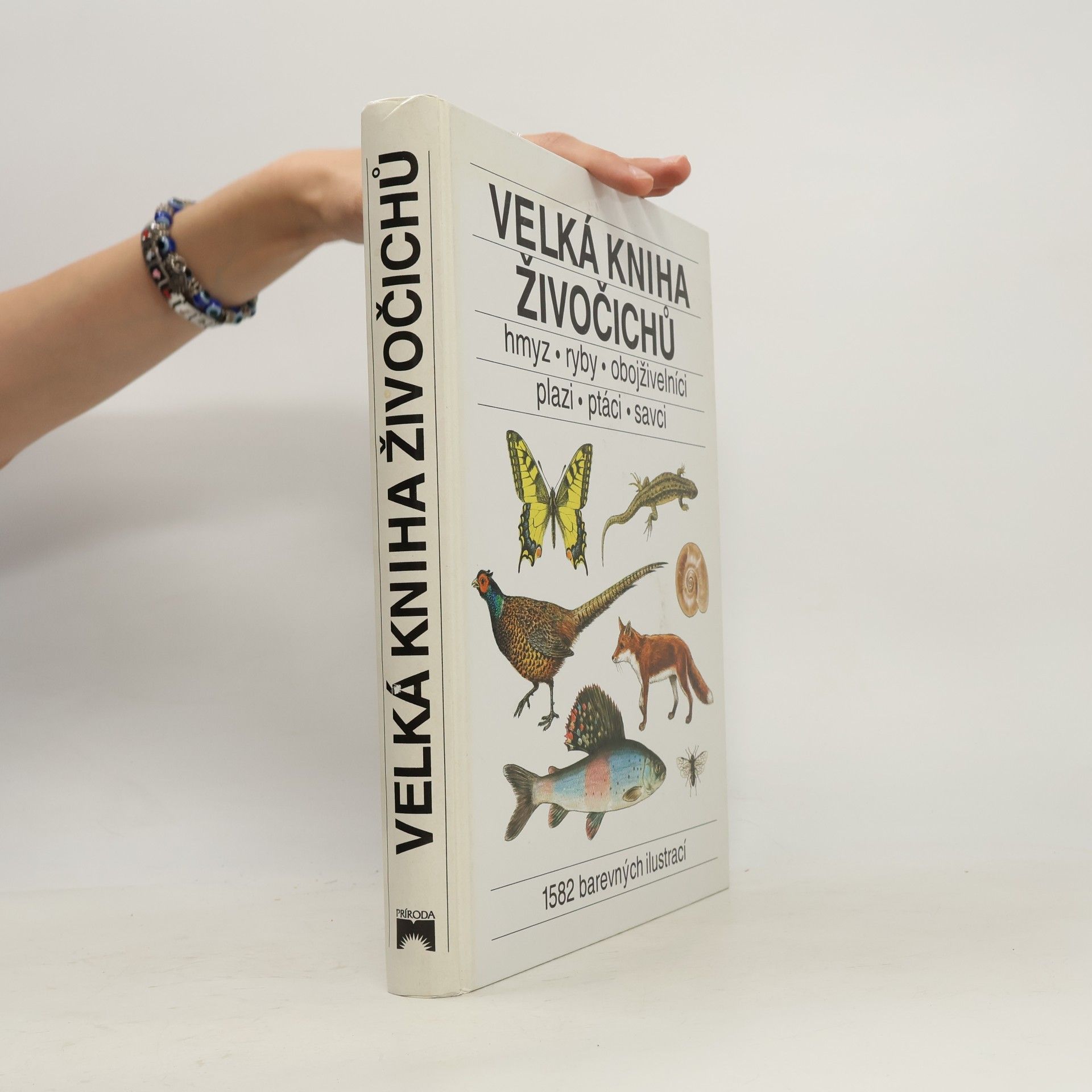 Velká kniha živočichů : hmyz, ryby, obojživelníci, plazi, ptáci, savci