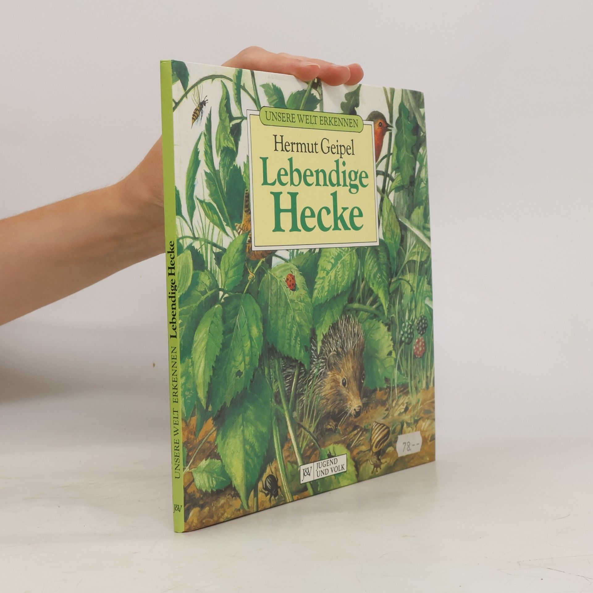 Unsere Welt erkennen / Lebendige Hecke