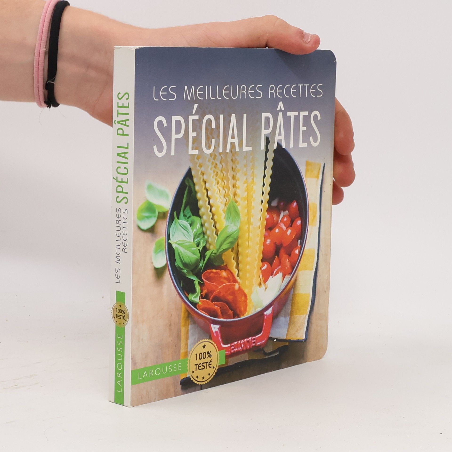 Kolektív autorov Les meilleures recettes spécial pâtes