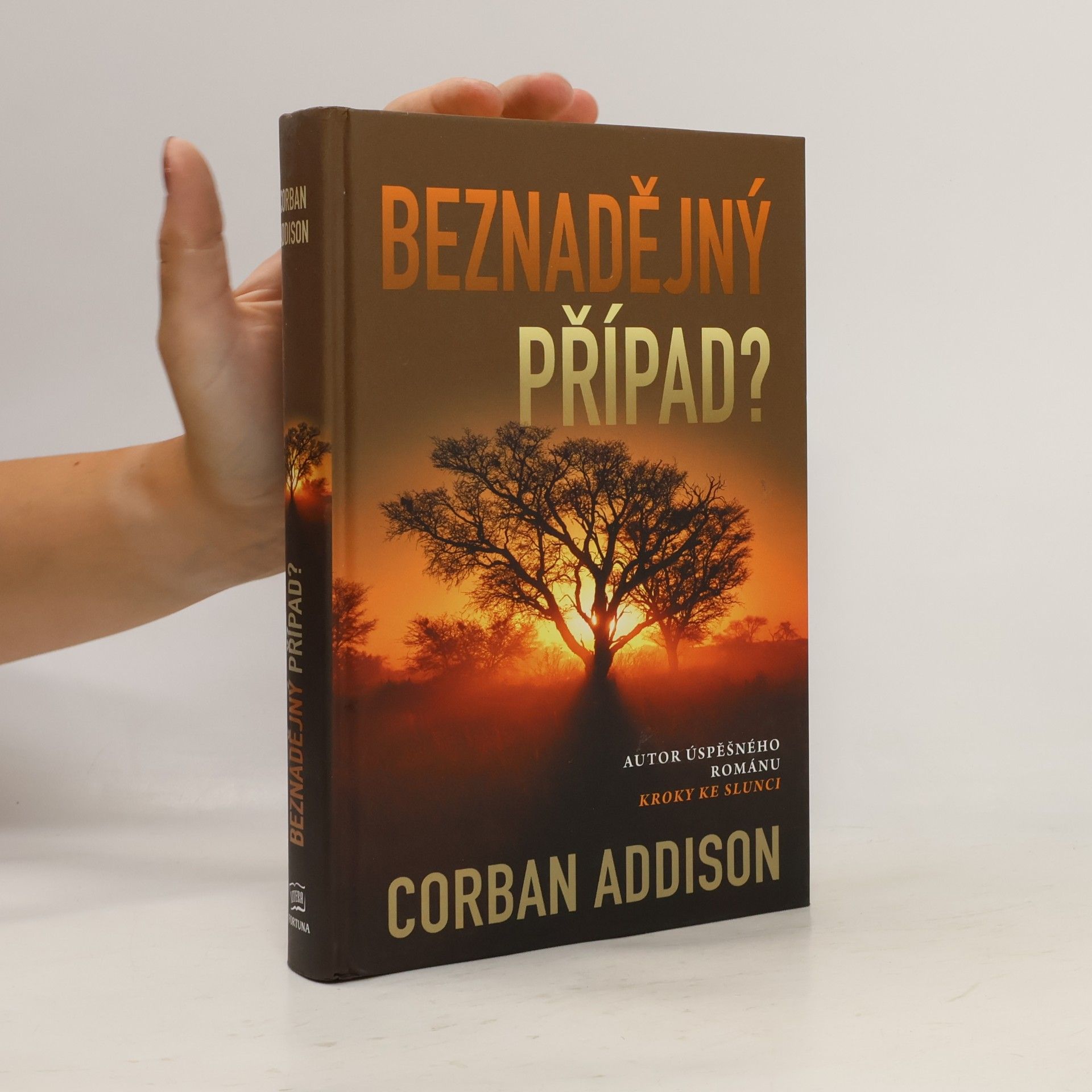 Corban Addison Beznadějný případ?