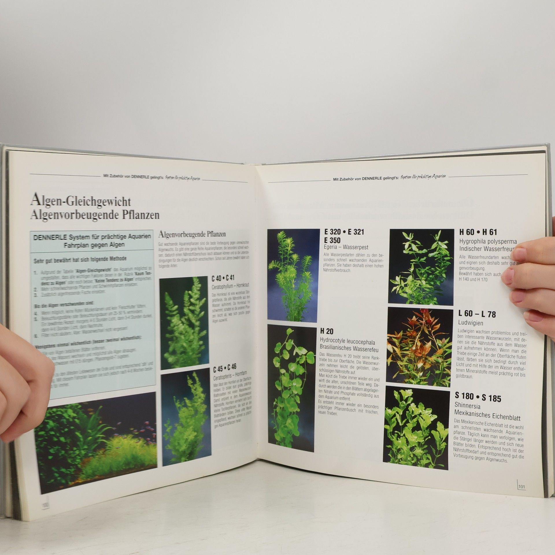 Kolektiv autorů System für prächtige Aquarien