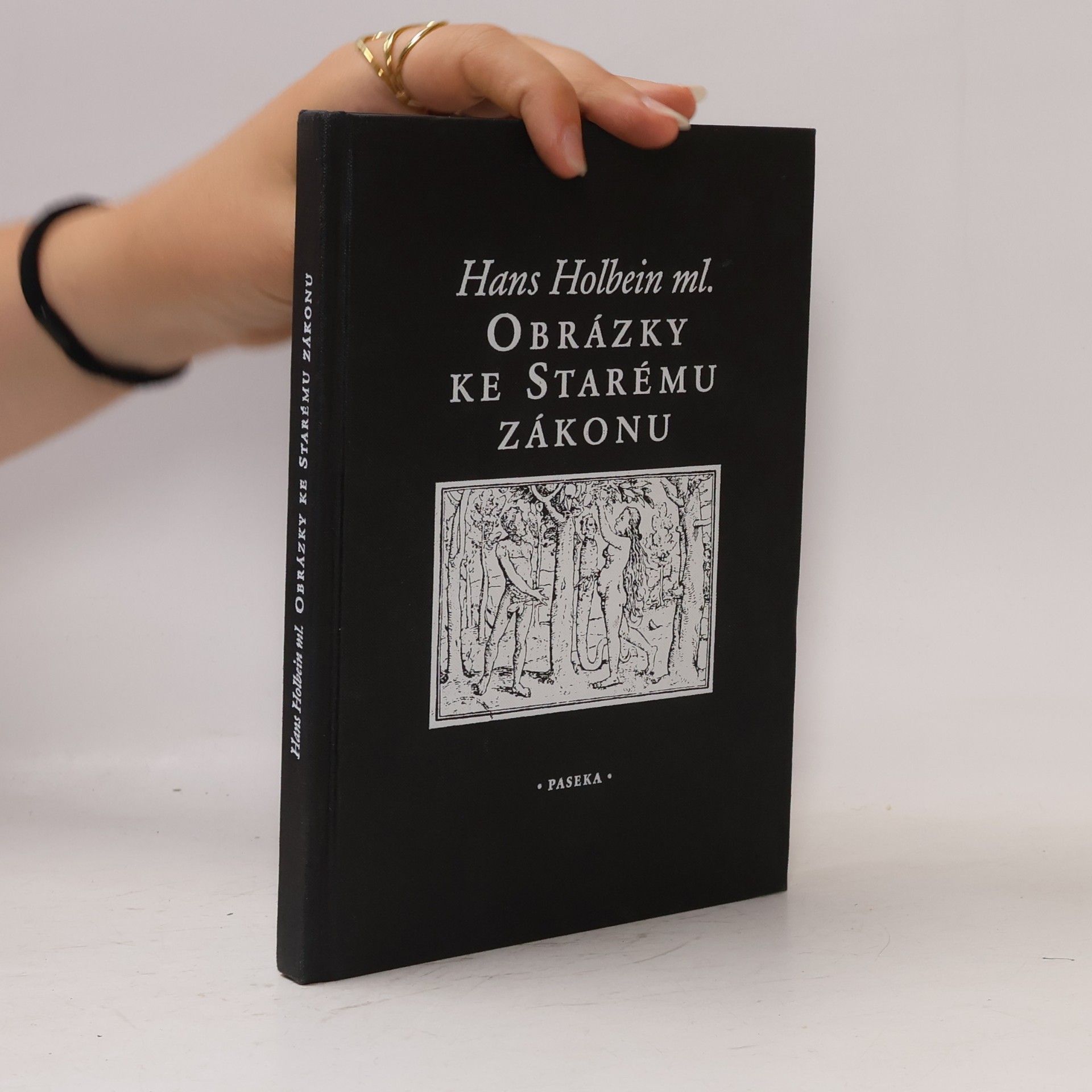 Hans Holbein the Younger Obrázky ke Starému zákonu