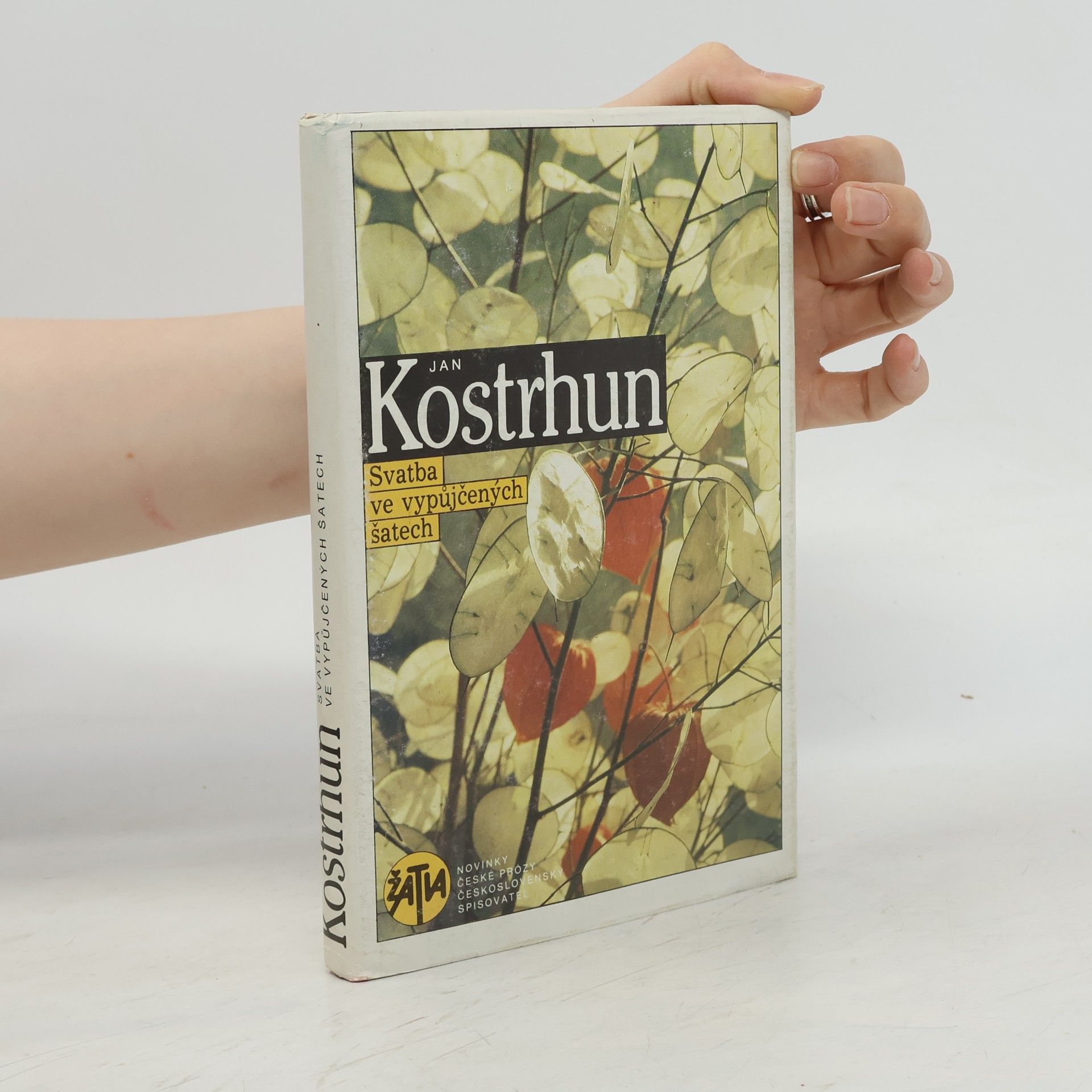 Jan Kostrhun Svatba ve vypůjčených šatech