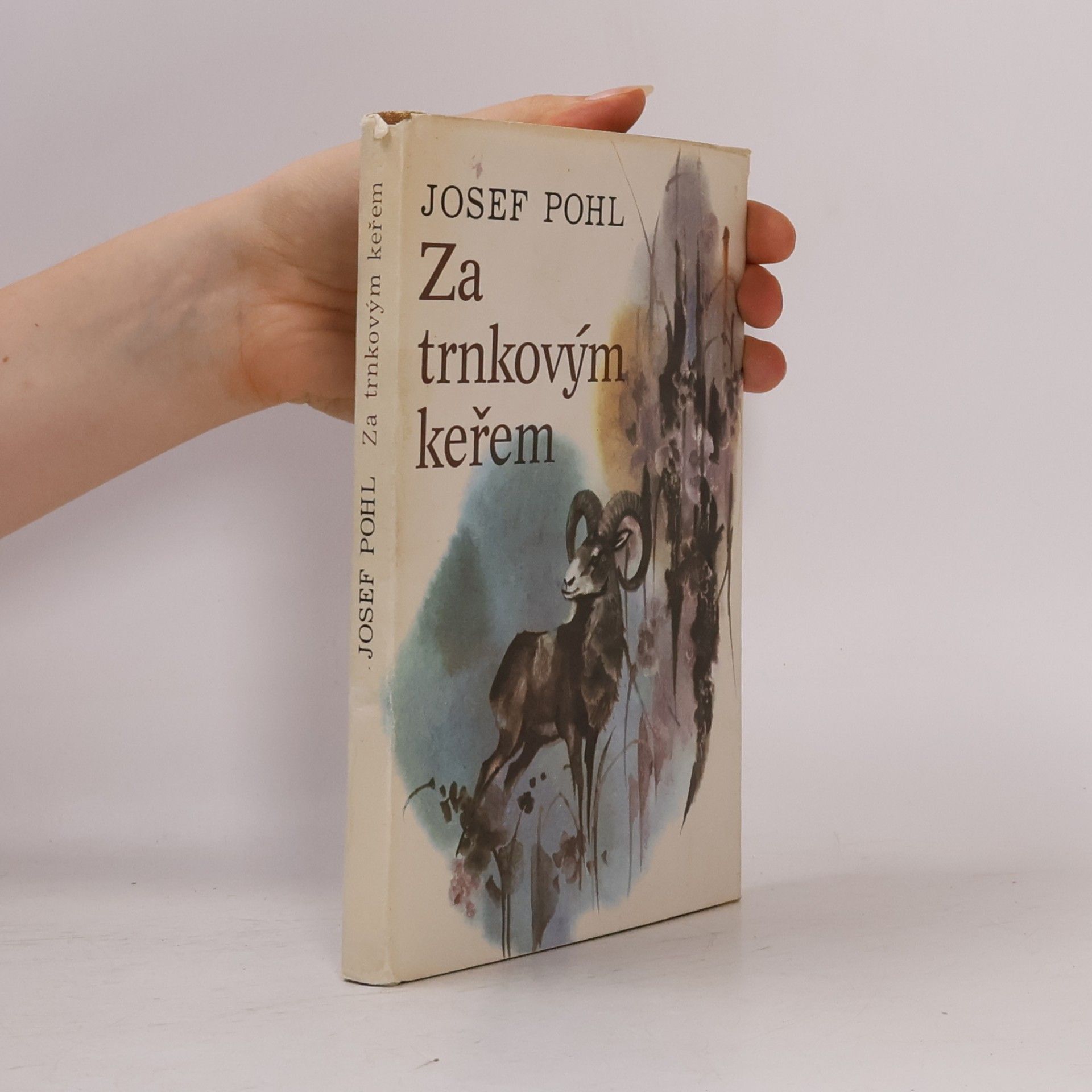 Josef Pohl Za trnkovým keřem