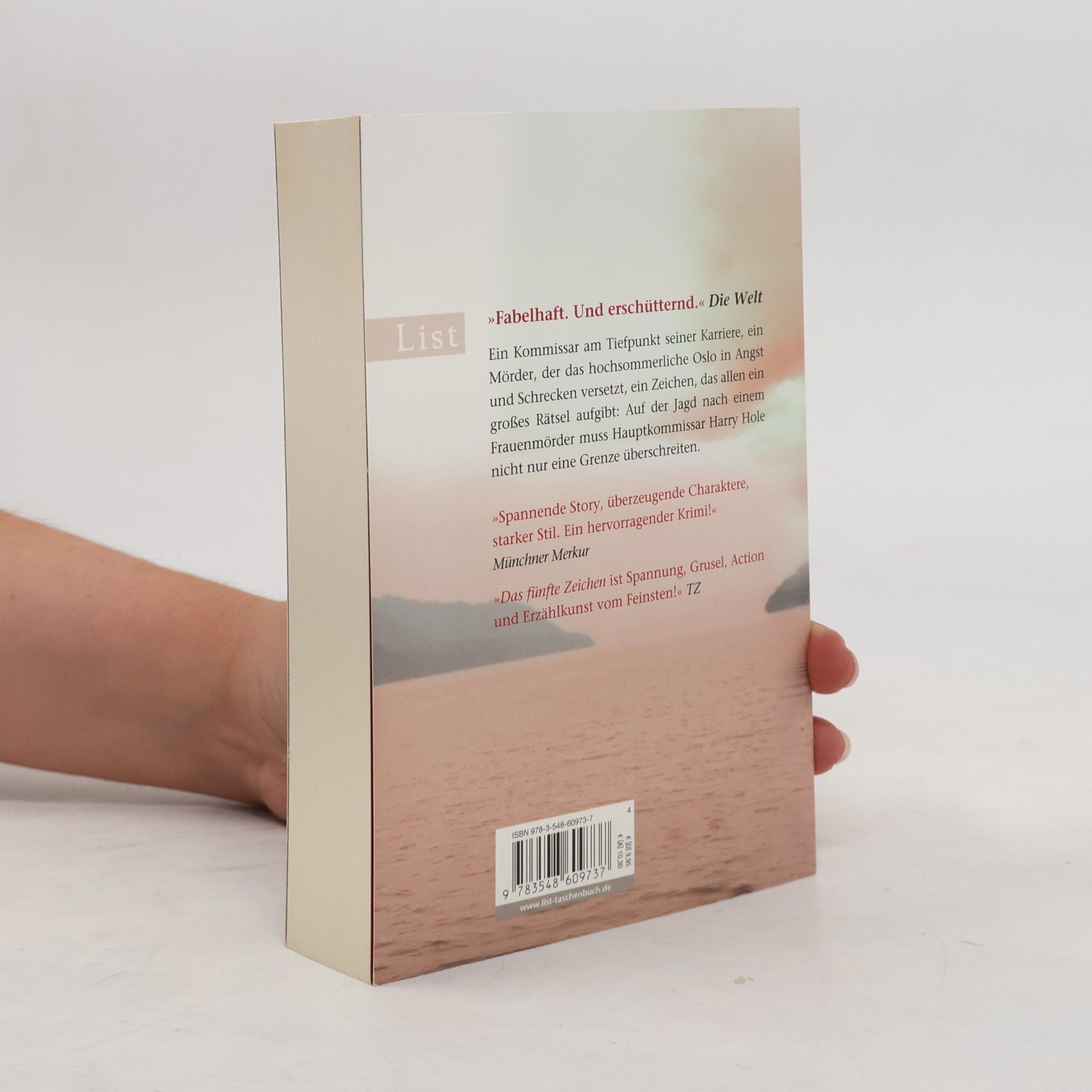 Jo Nesbø Das fünfte Zeichen