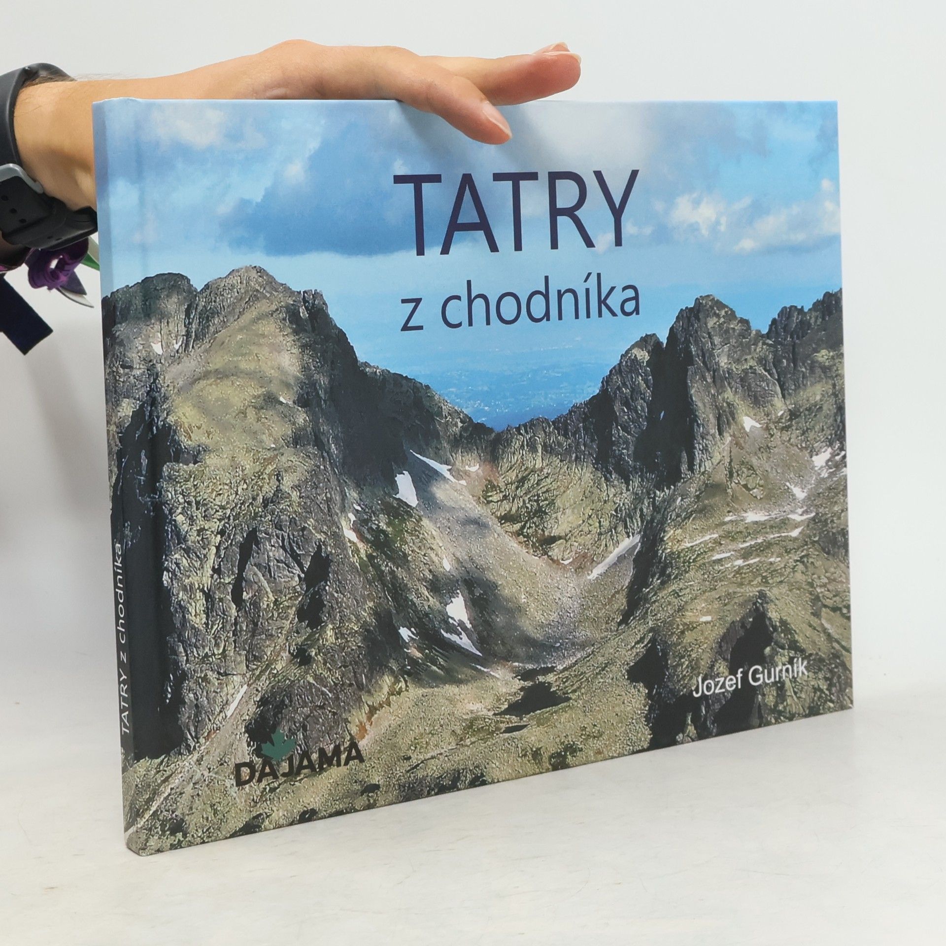 Jozef Gurník Tatry z chodníka