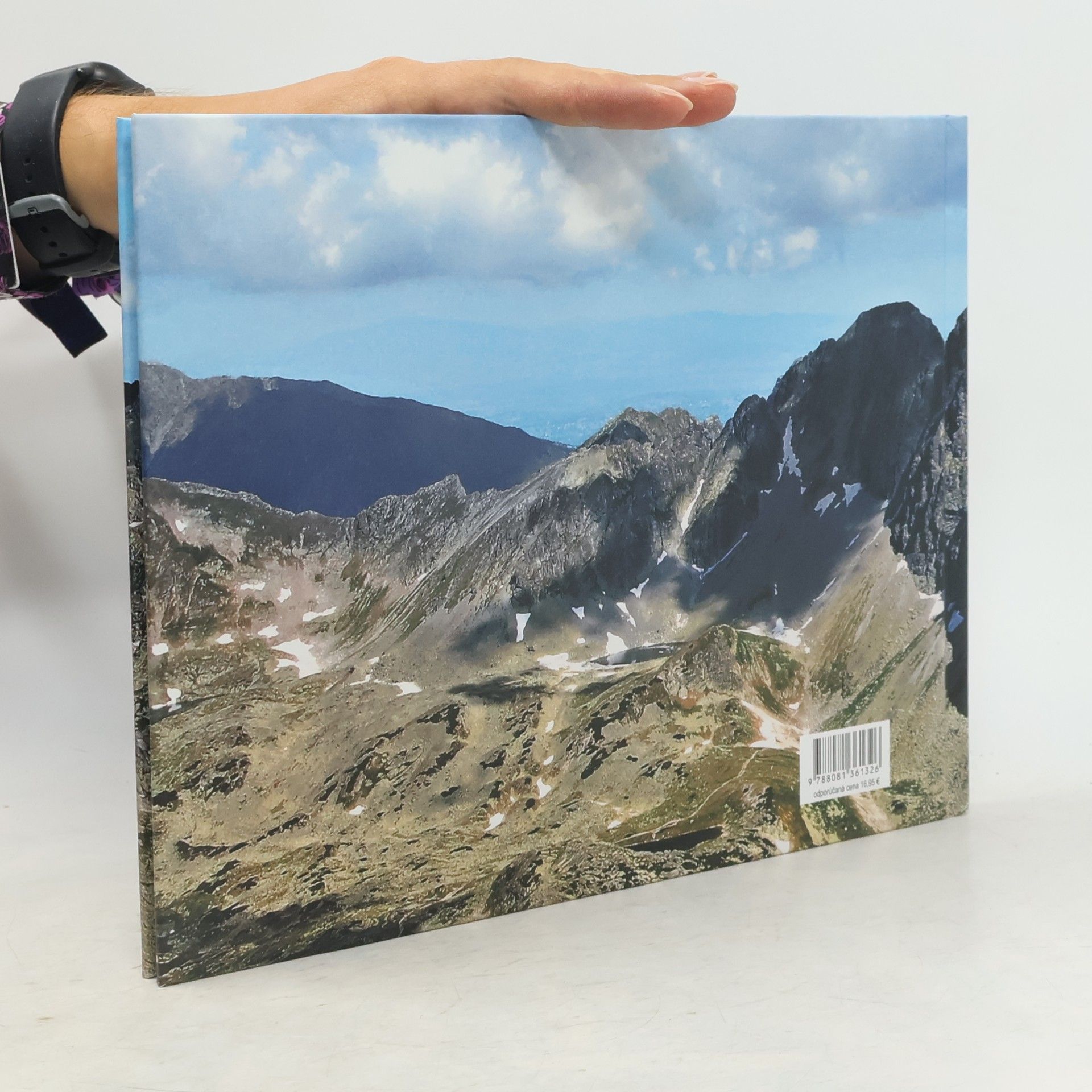 Jozef Gurník Tatry z chodníka