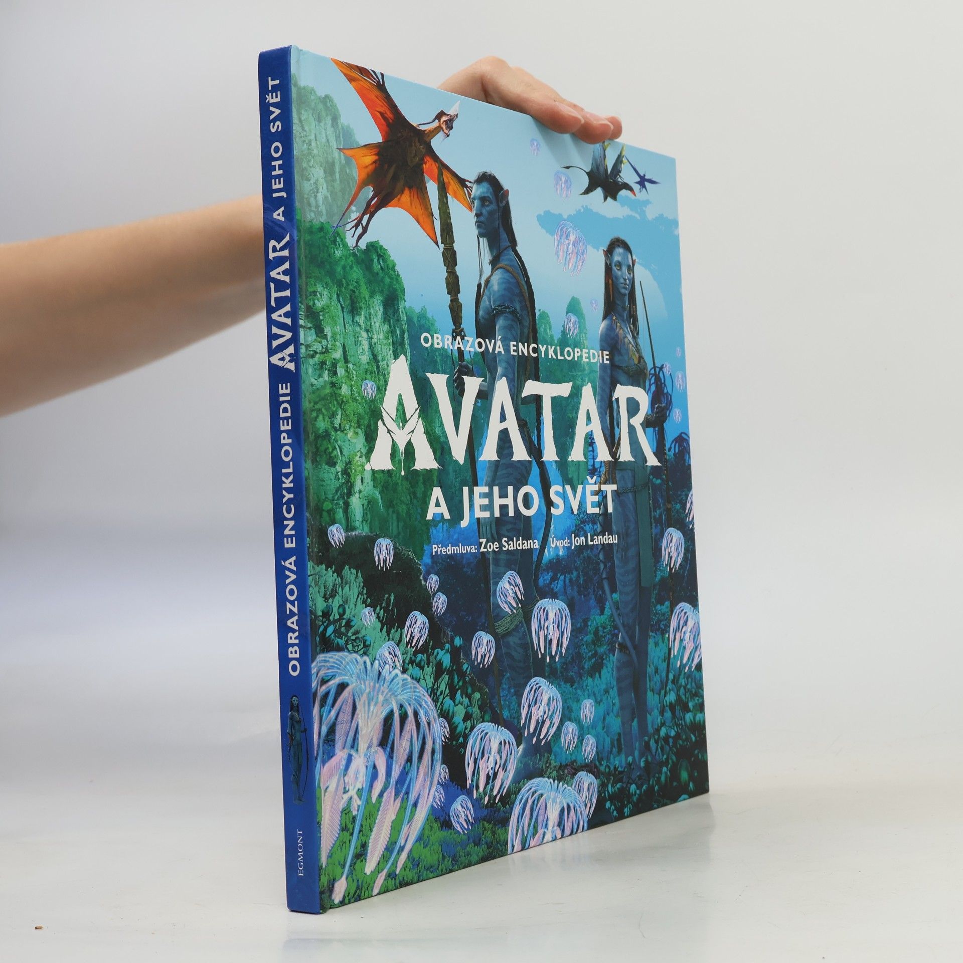 Avatar a jeho svět