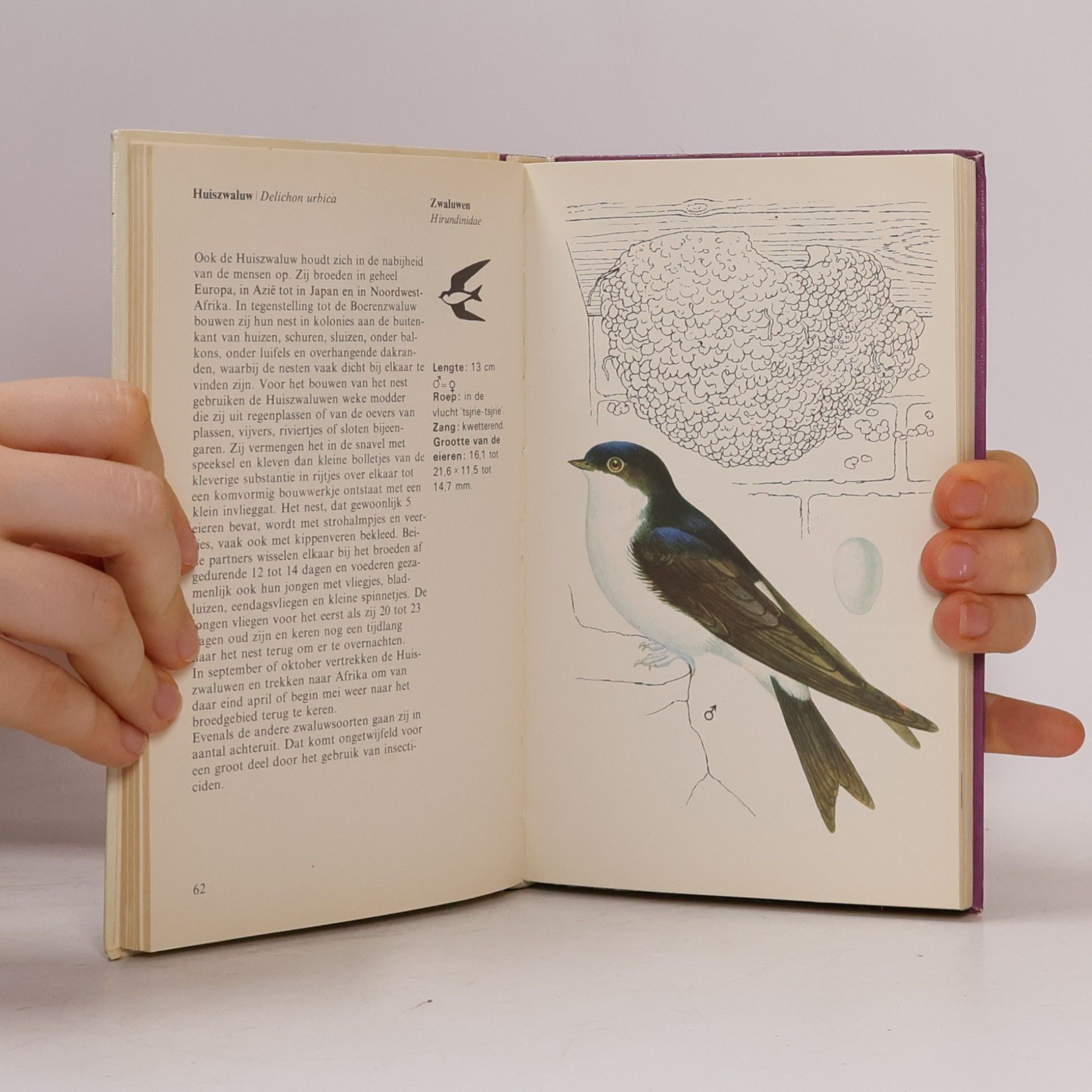 J. Felix Meulenhoff bibliotheek voor de natuur: Vogels van de vrije lucht