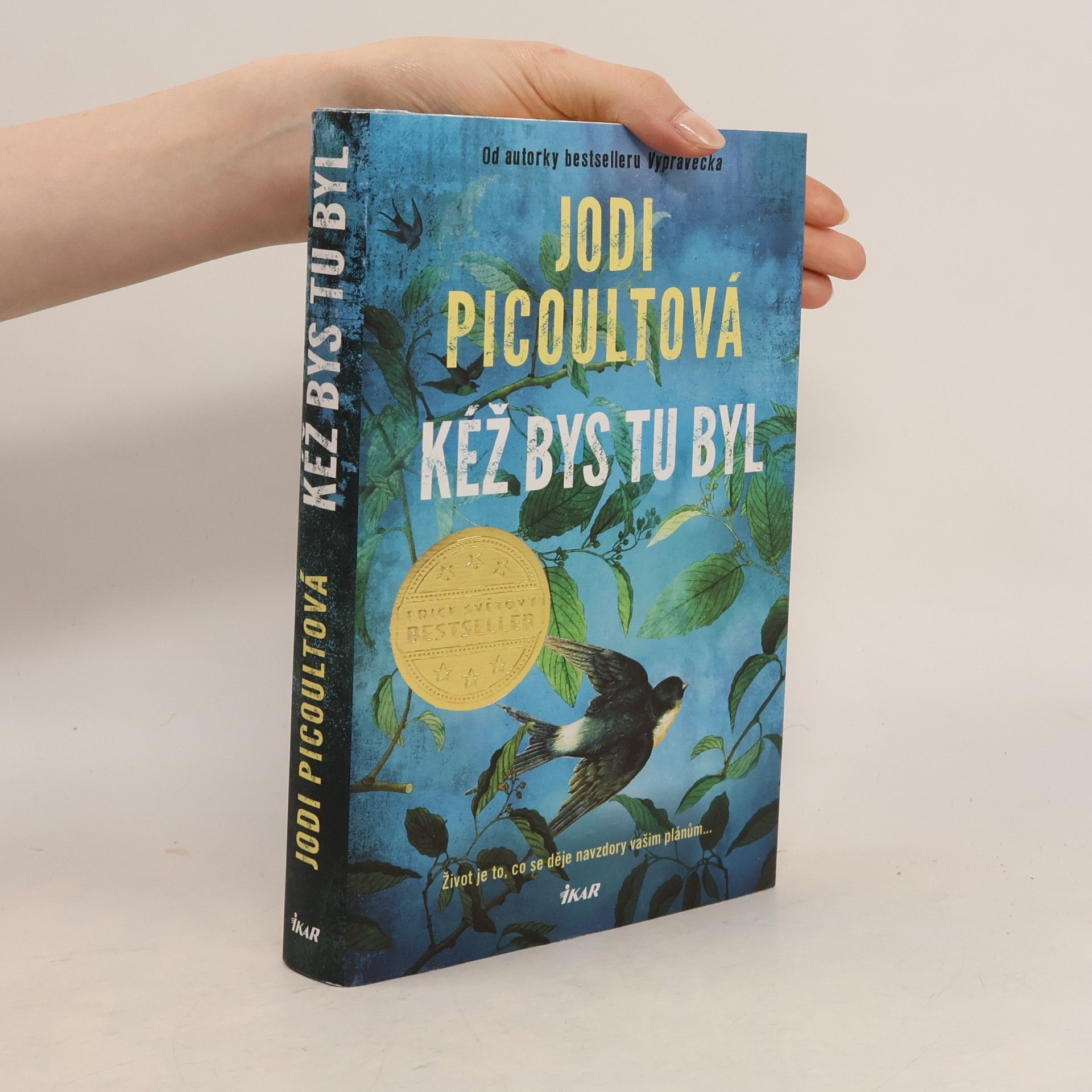 Jodi Picoult Kéž bys tu byl