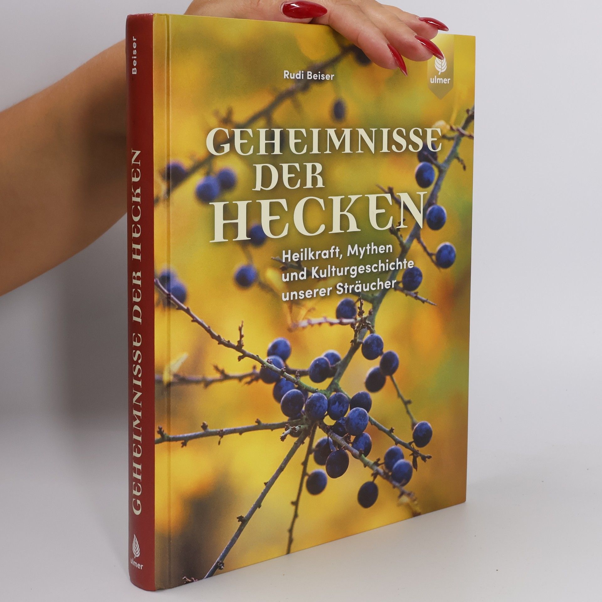 Rudi Beiser Geheimnisse der Hecken