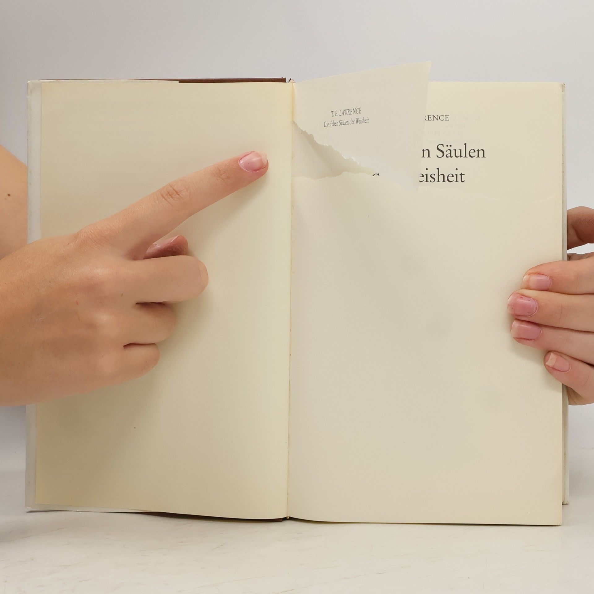 T. E. Lawrence Die sieben Säulen der Weisheit
