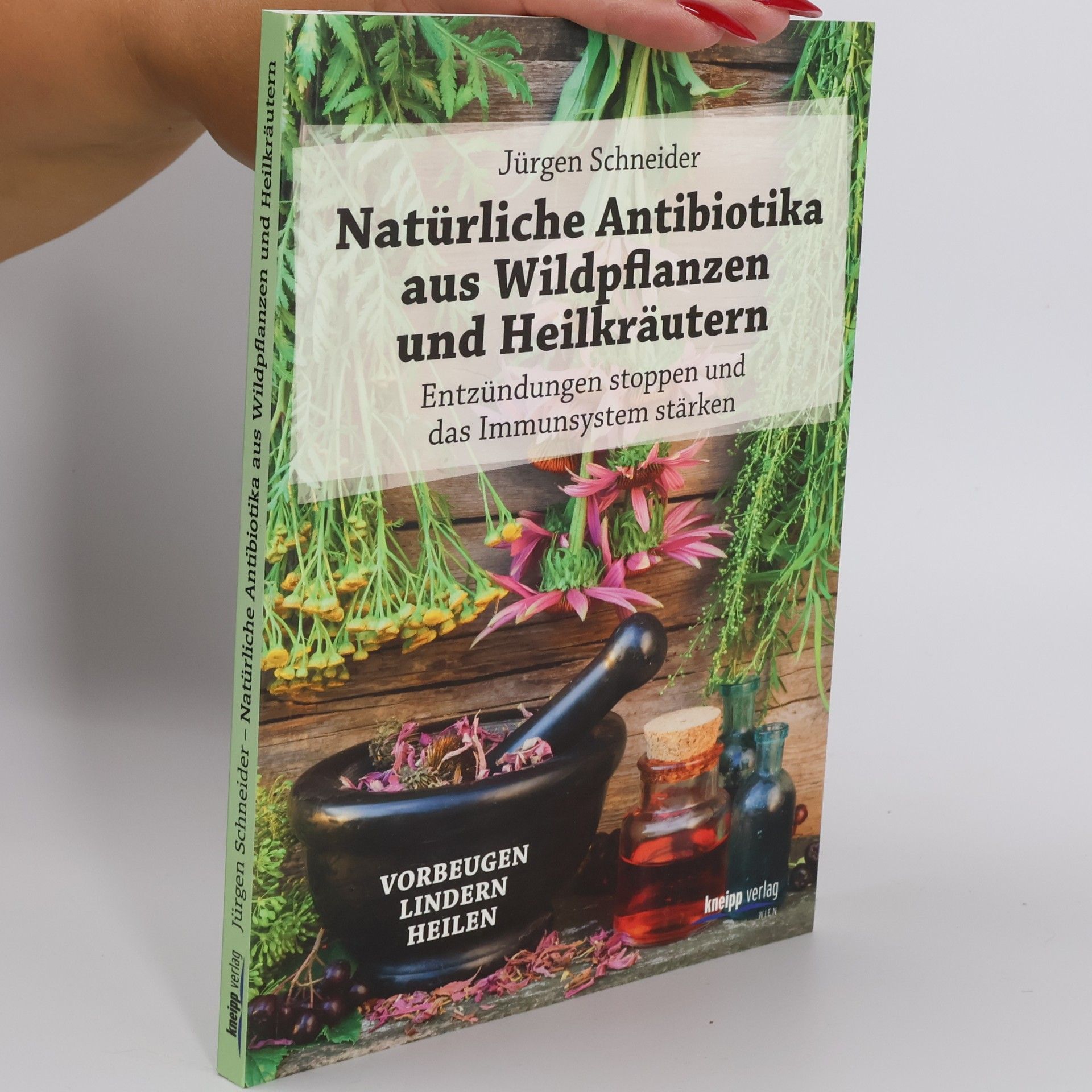 Jürgen Schneider Natürliche Antibiotika aus Wildpflanzen und Heilkräutern