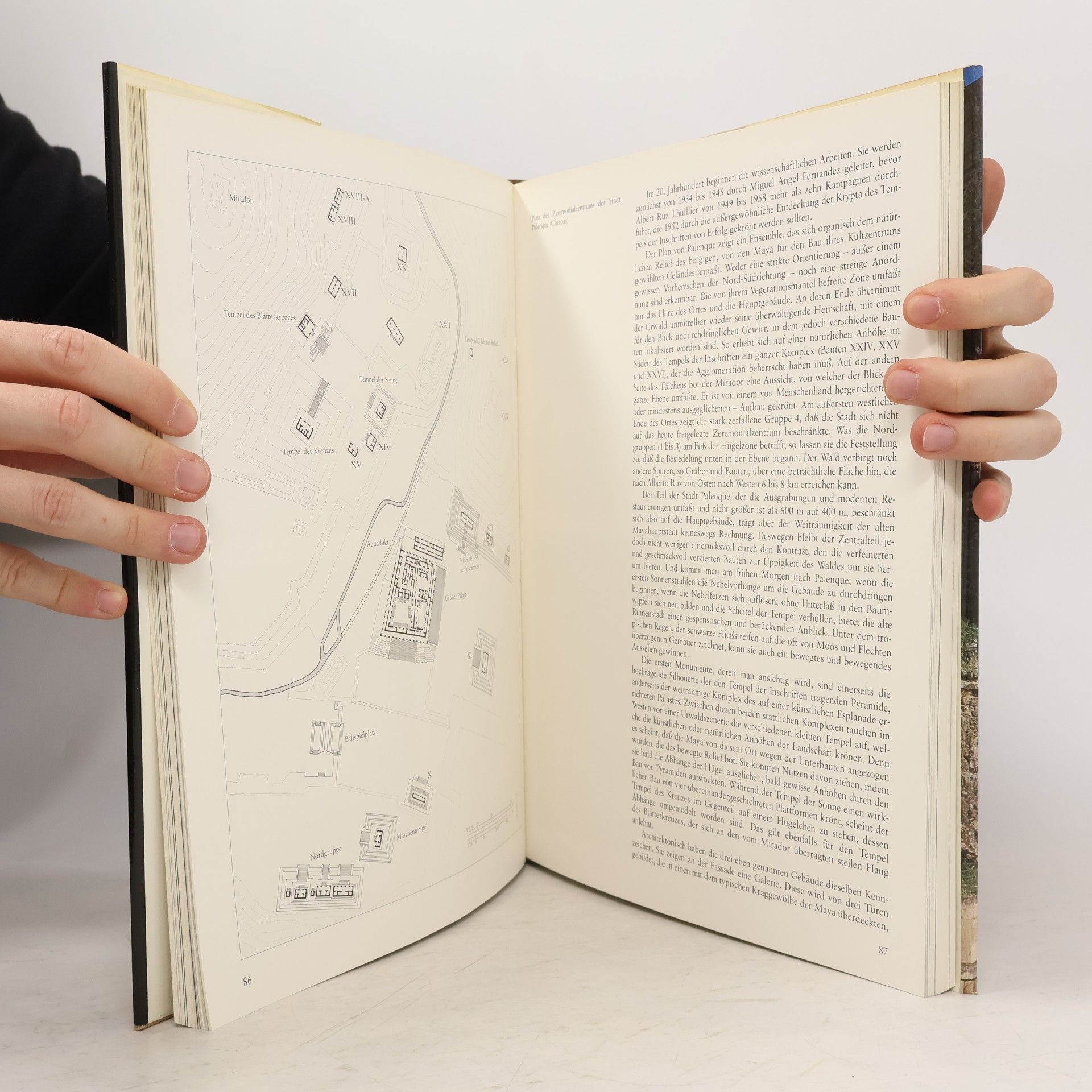 Henri Stierlin Die Kunst der Maya