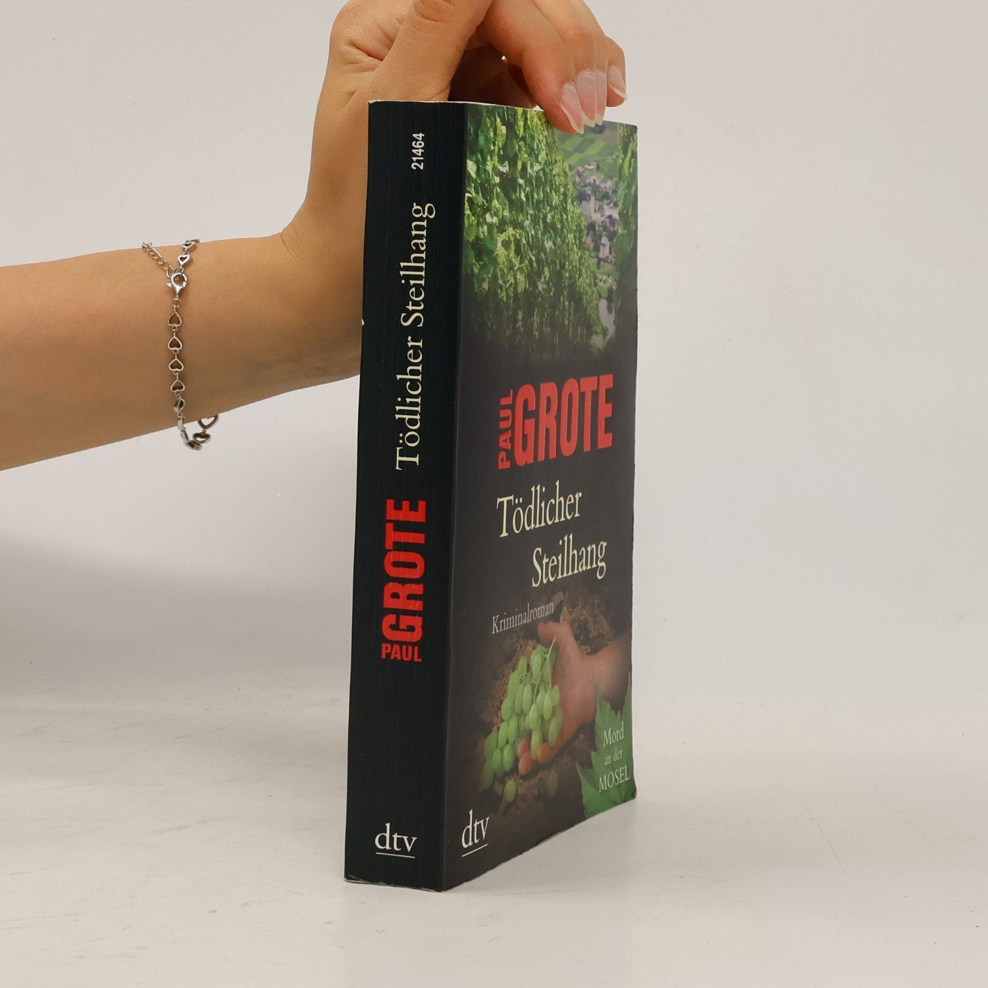 Paul Grote Tödlicher Steilhang