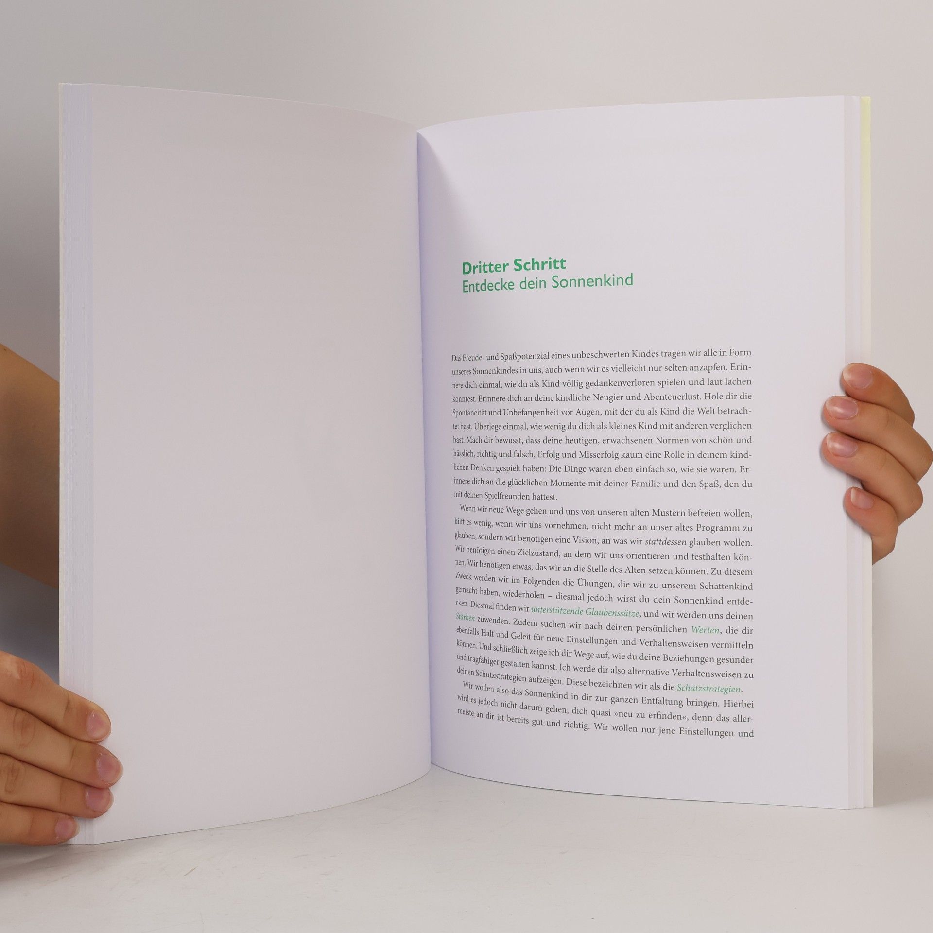 Stefanie Stahl Das Kind in dir muss Heimat finden - das Arbeitsbuch