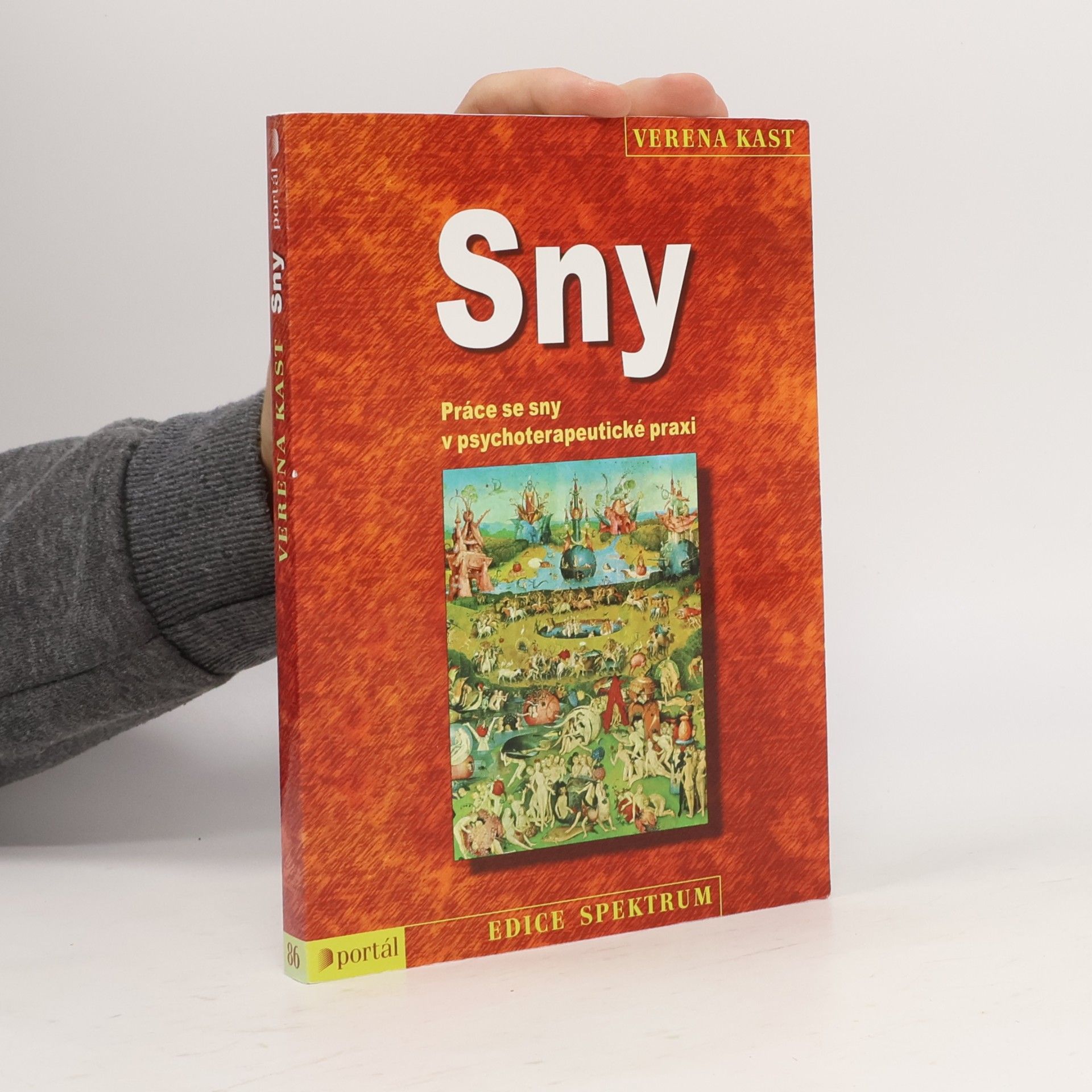 Verena Kast Sny
