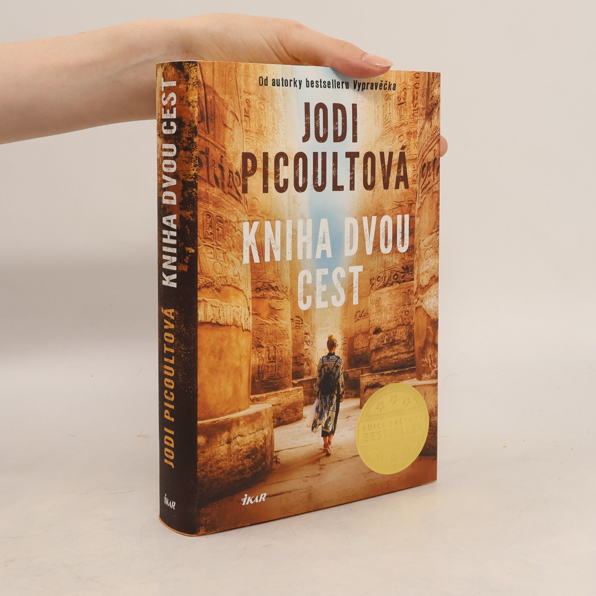 Jodi Picoult Kniha dvou cest