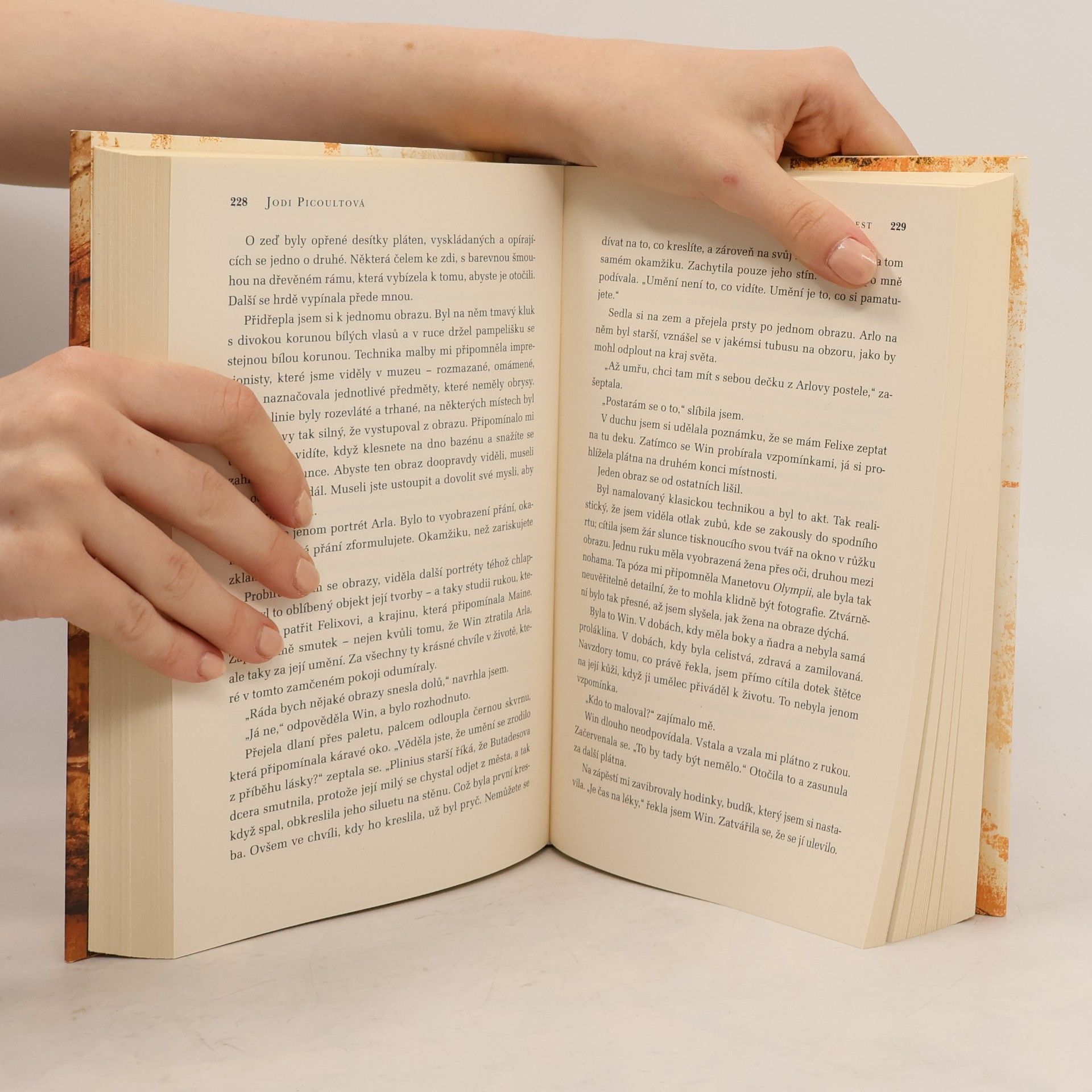 Jodi Picoult Kniha dvou cest