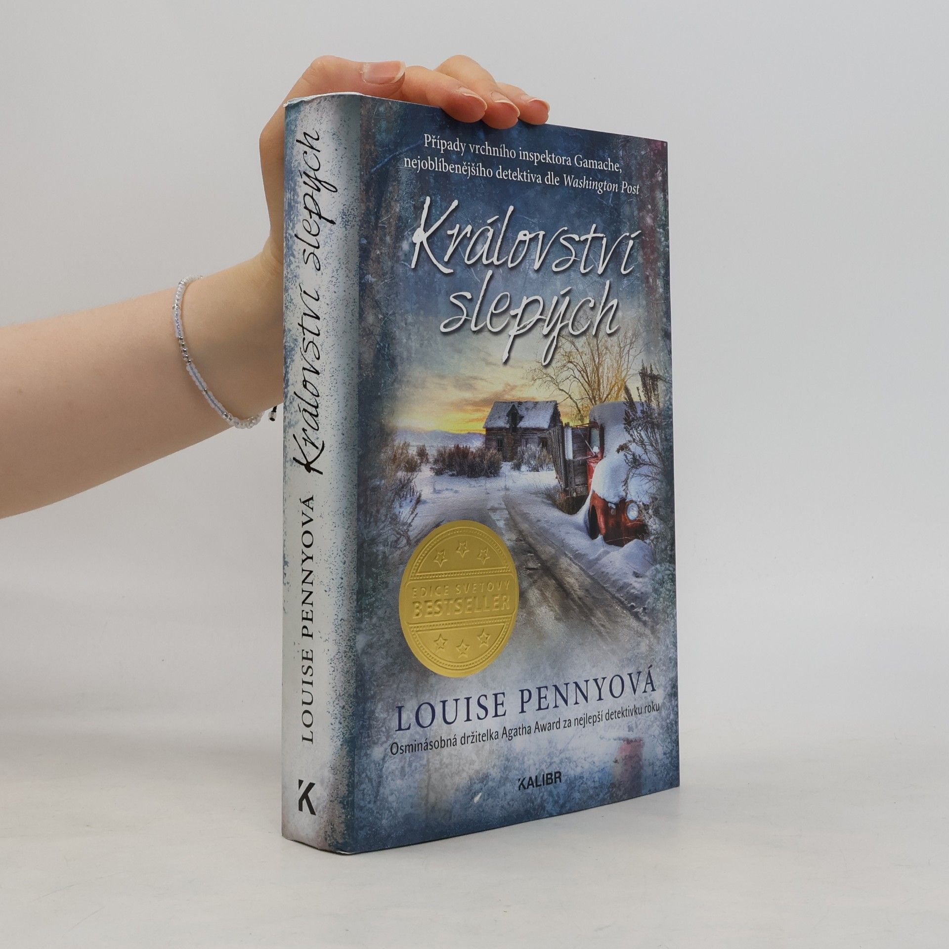 Louise Penny Království slepých