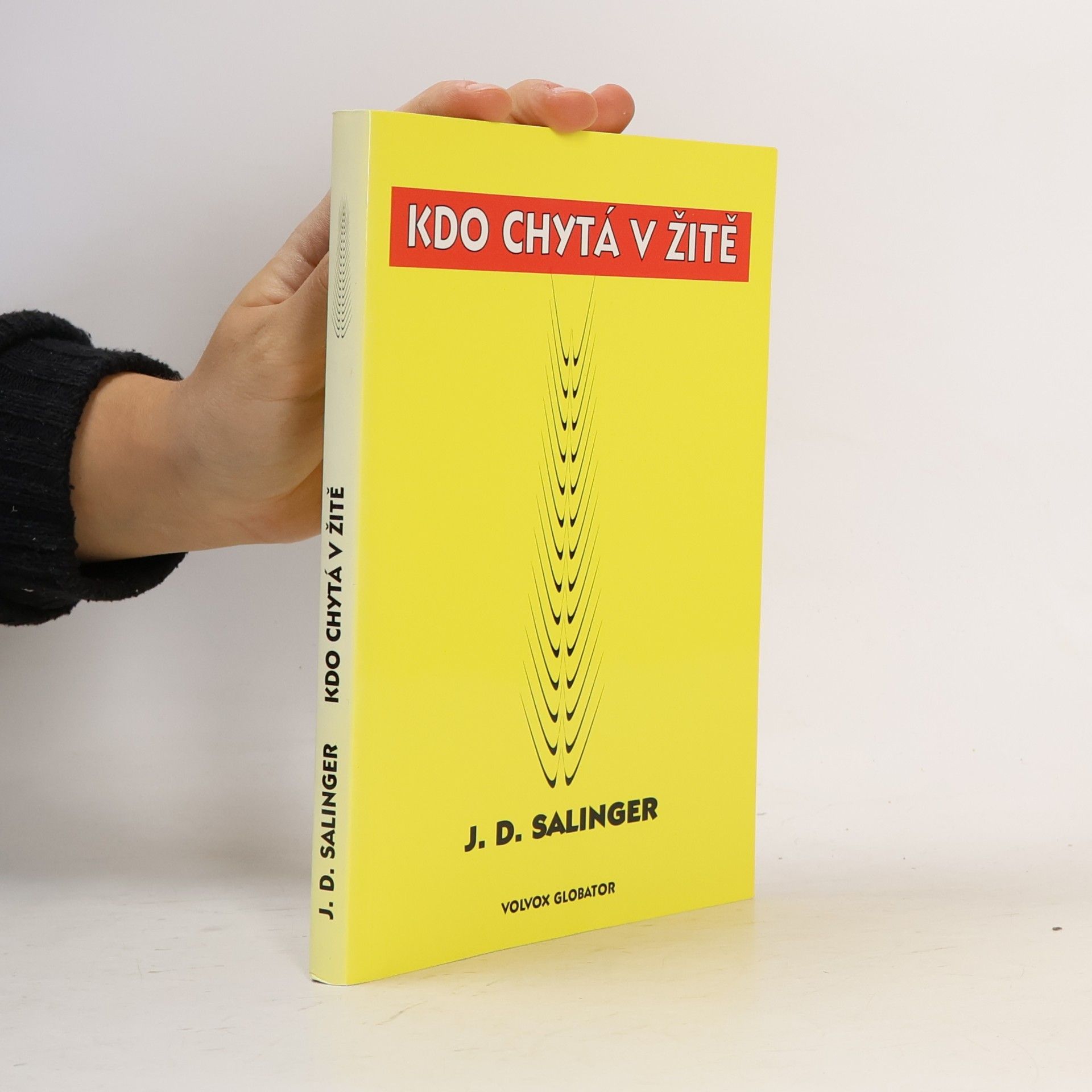 Jerome David Salinger Kdo chytá v žitě