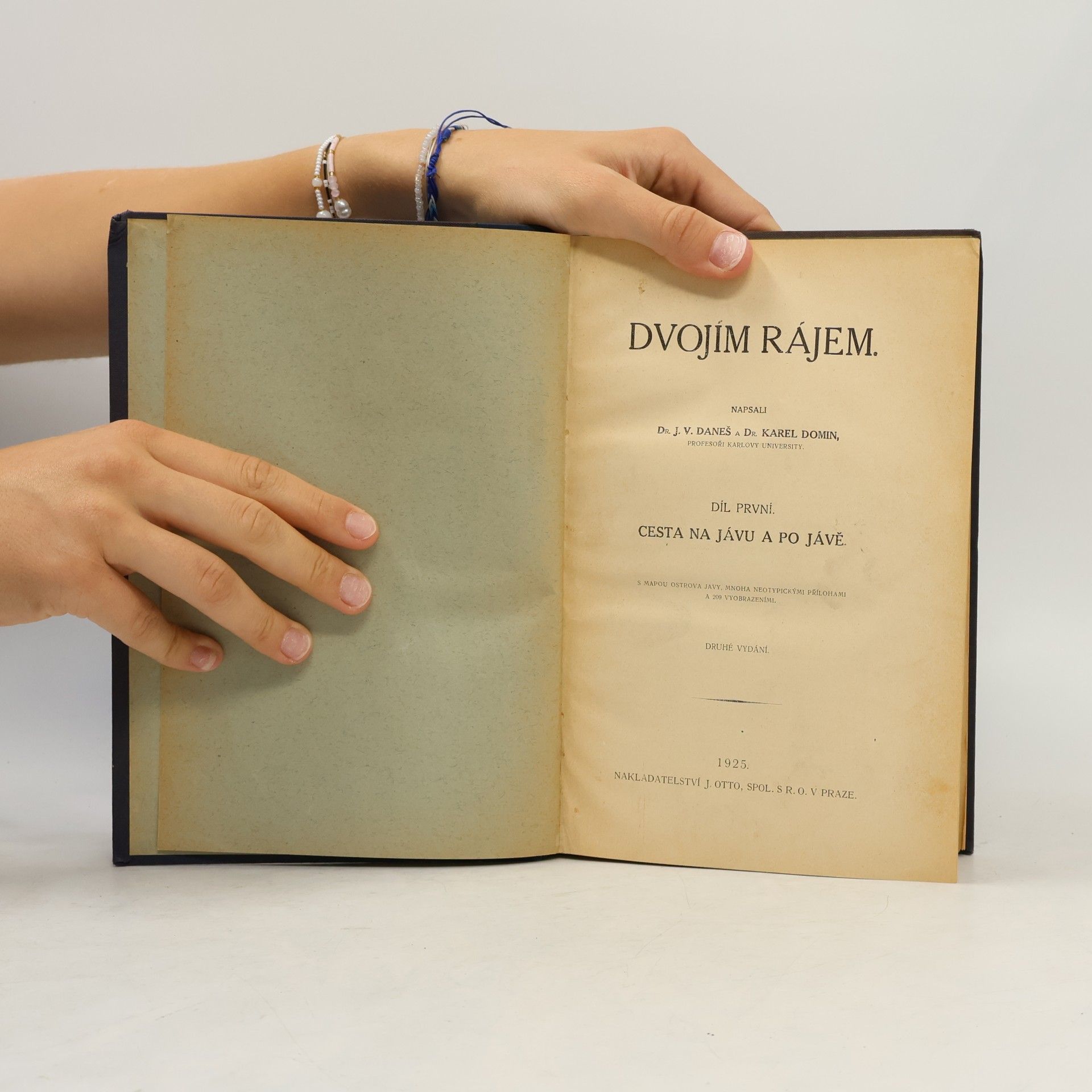 J. V. Daneš Dvojím rájem