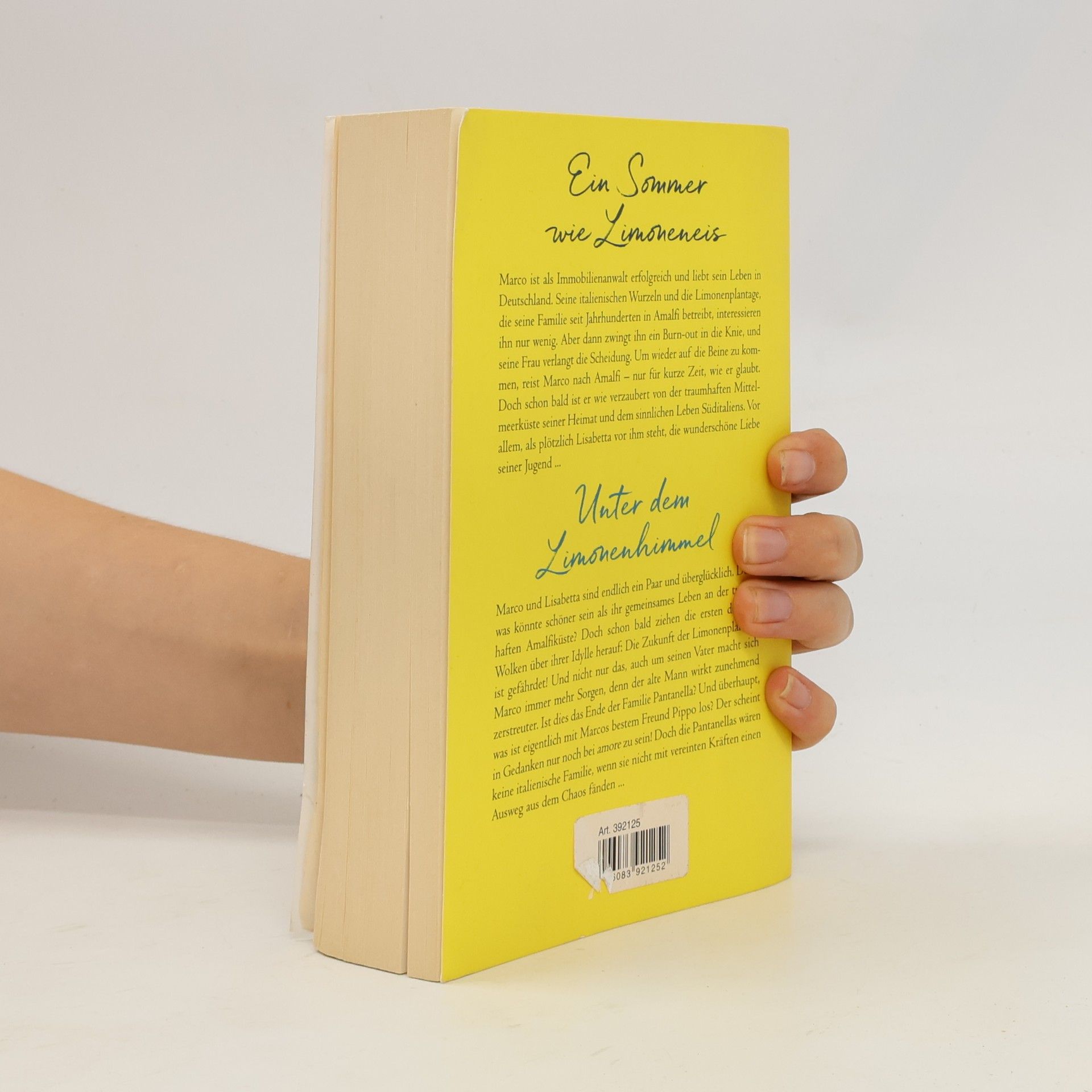 Marie Matisek Ein Sommer wie Limoneneis. Unter dem Limonenhimmel