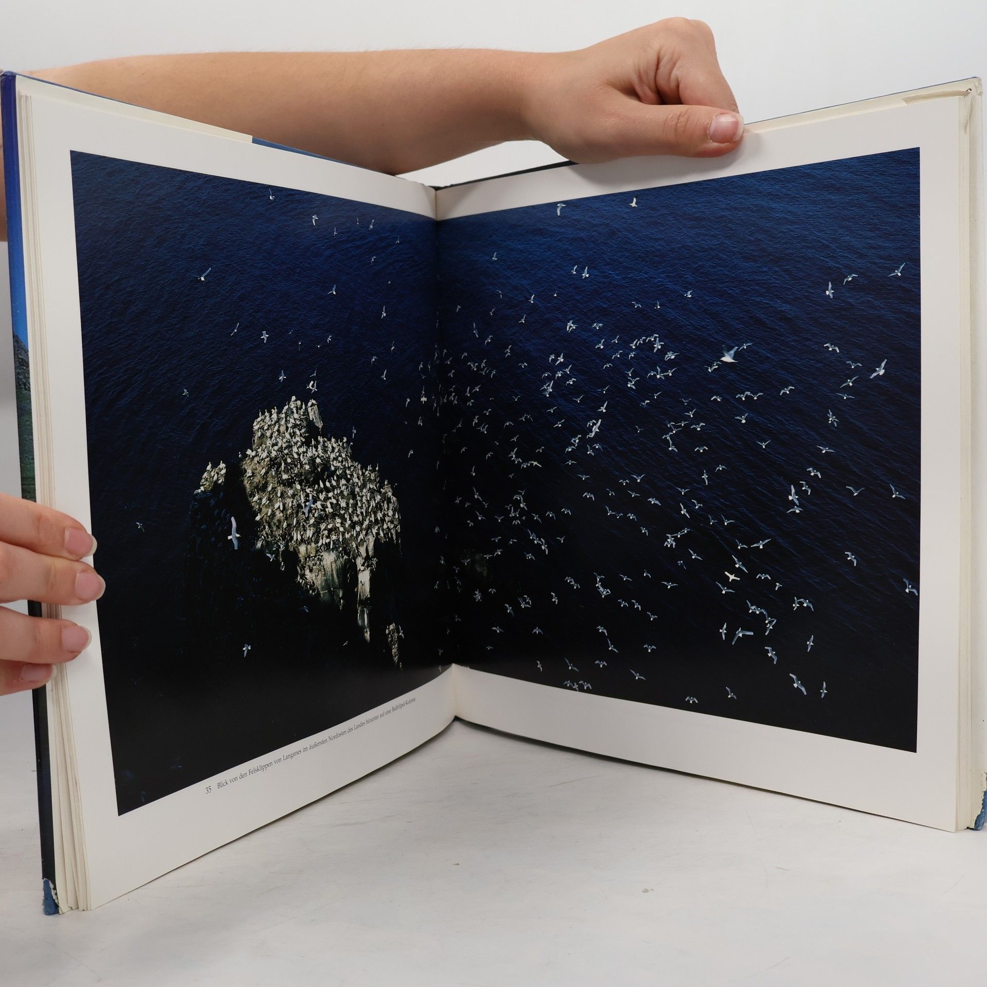Sigurgeir Sigurjonsson Island