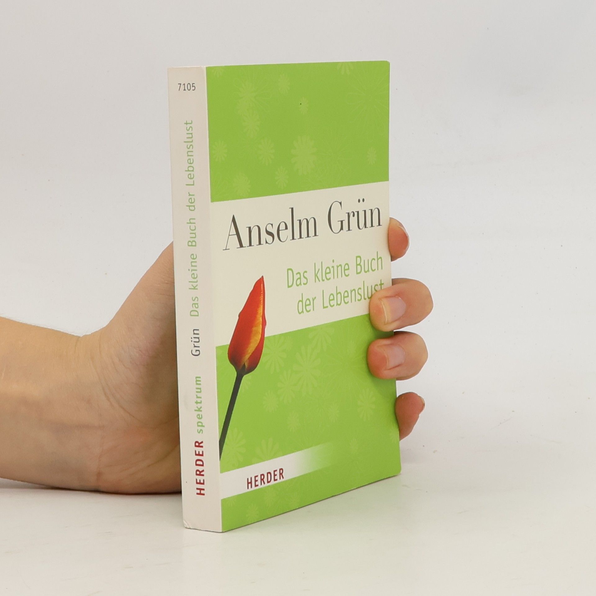 Anselm Grün Das kleine Buch der Lebenslust