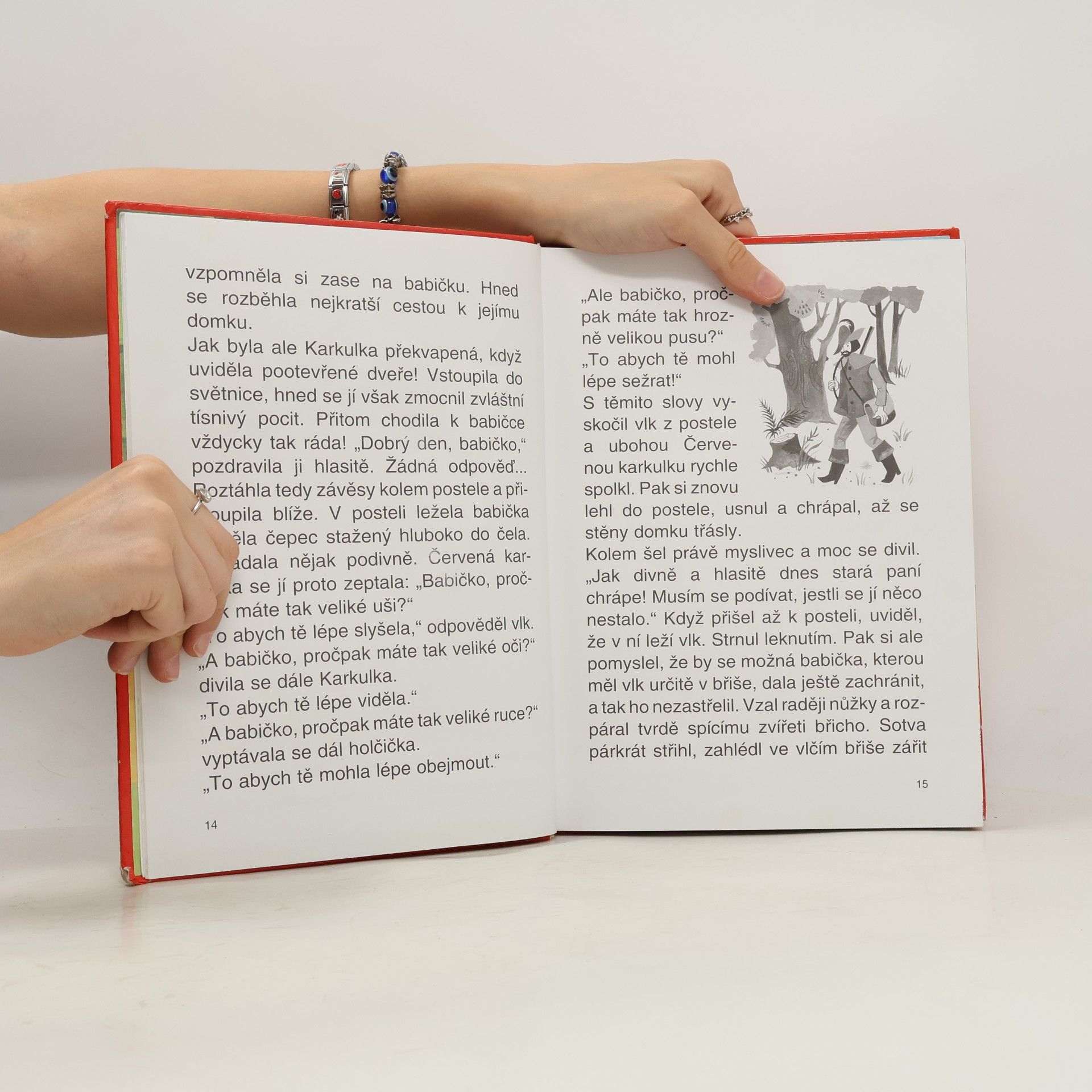 Jacob Grimm Nejkrásnější pohádky bratří Grimmů