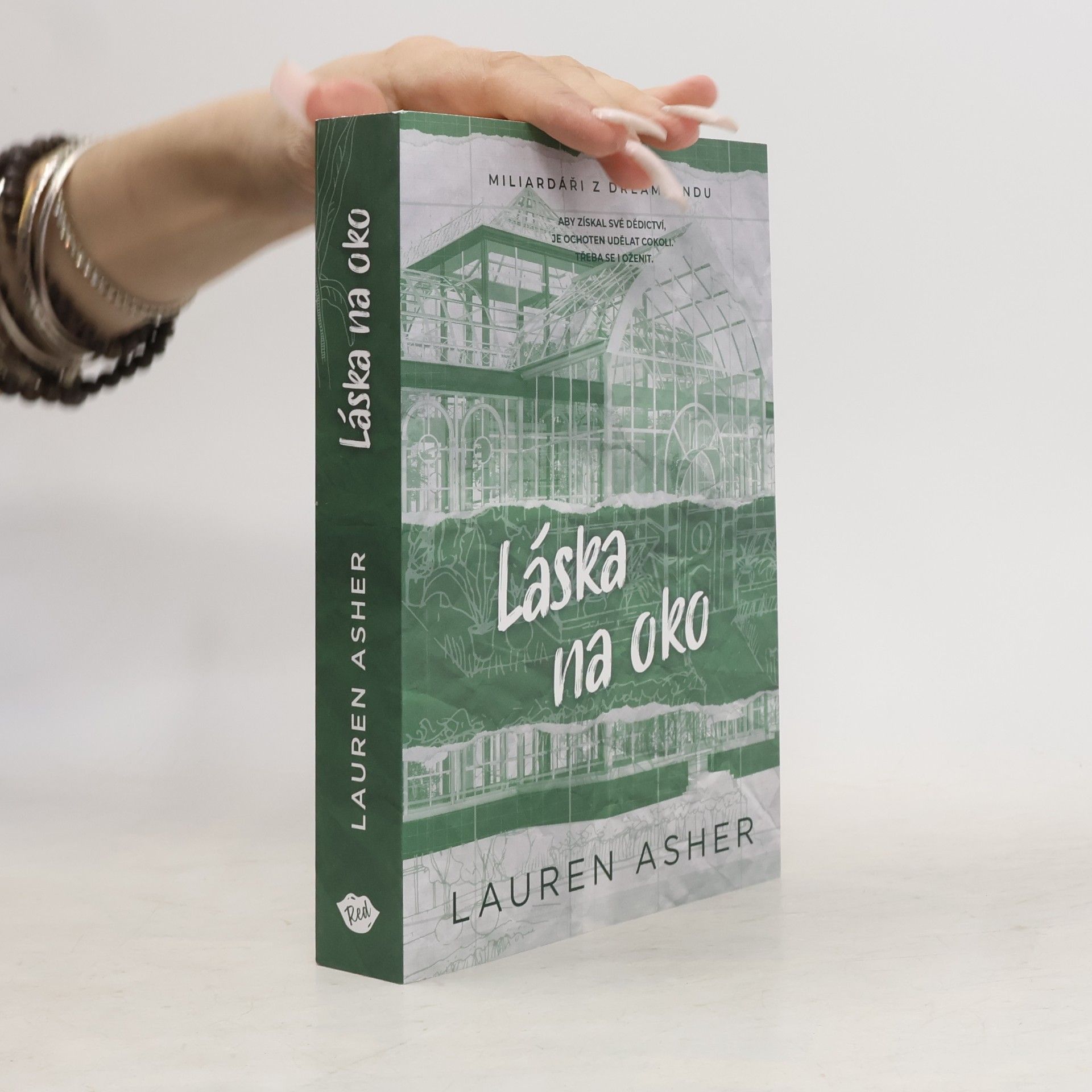 Lauren Asher Láska na oko