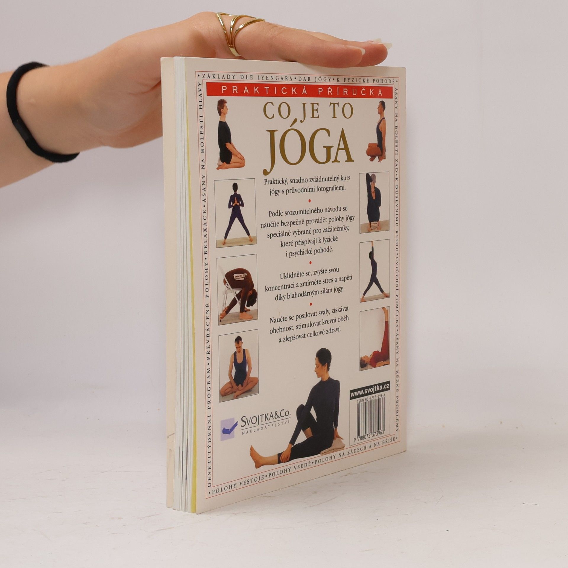 Silva Mehta Co je to jóga. Praktická příručka