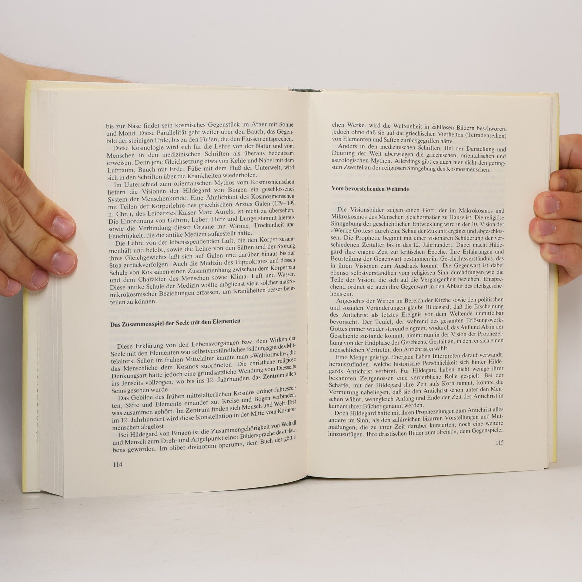 Ellen Breindl Das große Gesundheitsbuch der Hl. Hildegard von Bingen