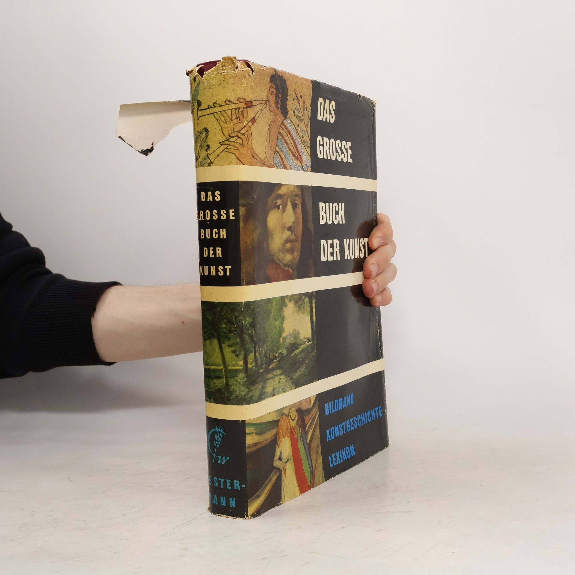 Autorenkollektiv Das grosse Buch der Kunst
